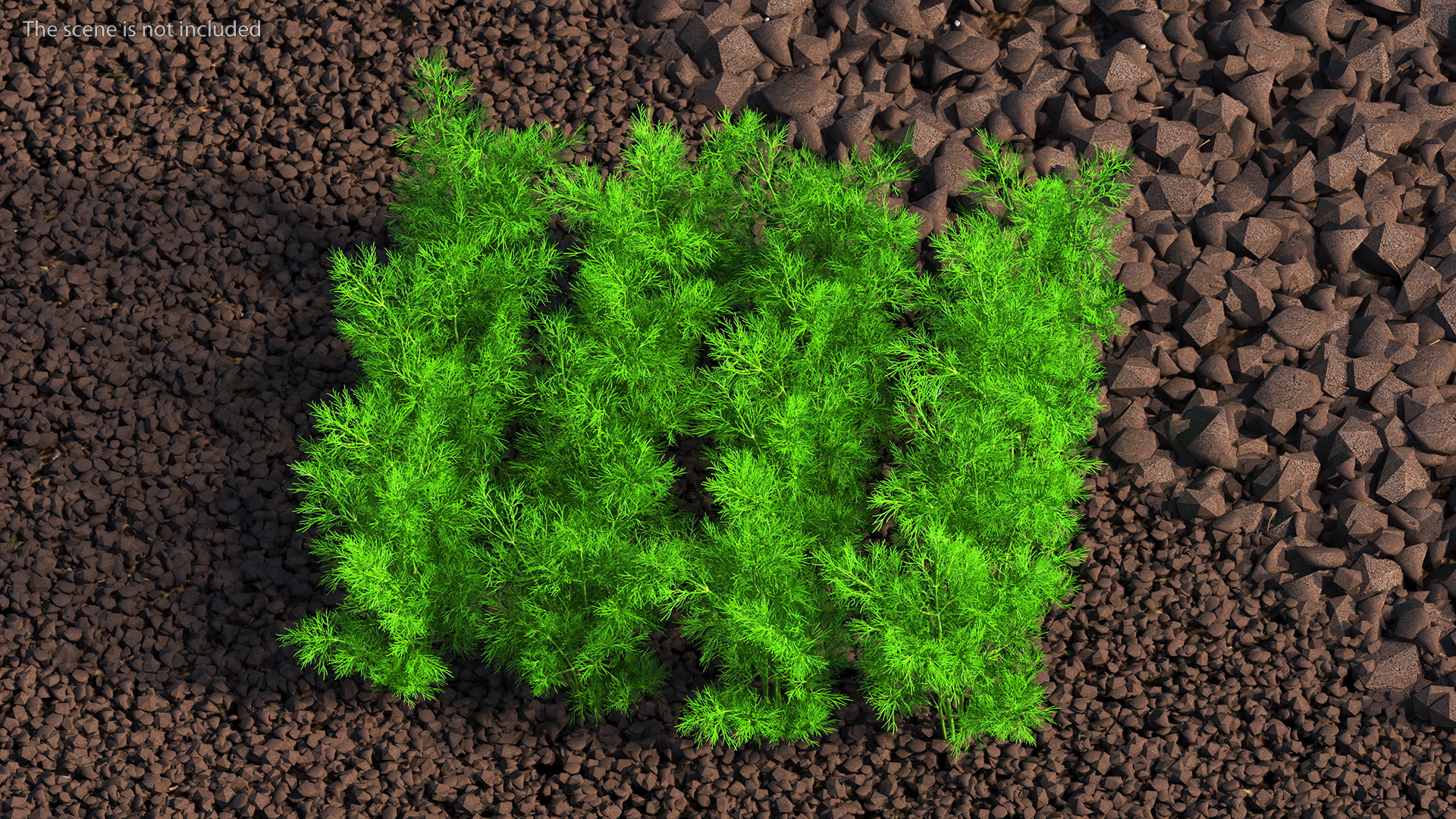 3D model Dill Garden Bed