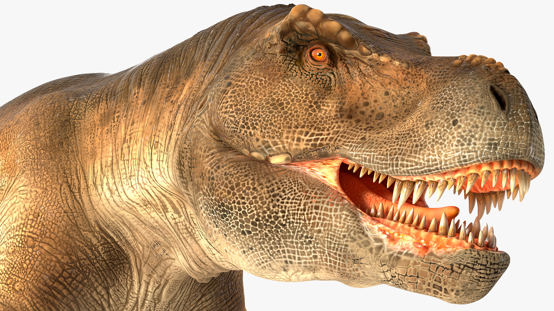 3D Animated Tyrannosaurus Rex Running Rigged