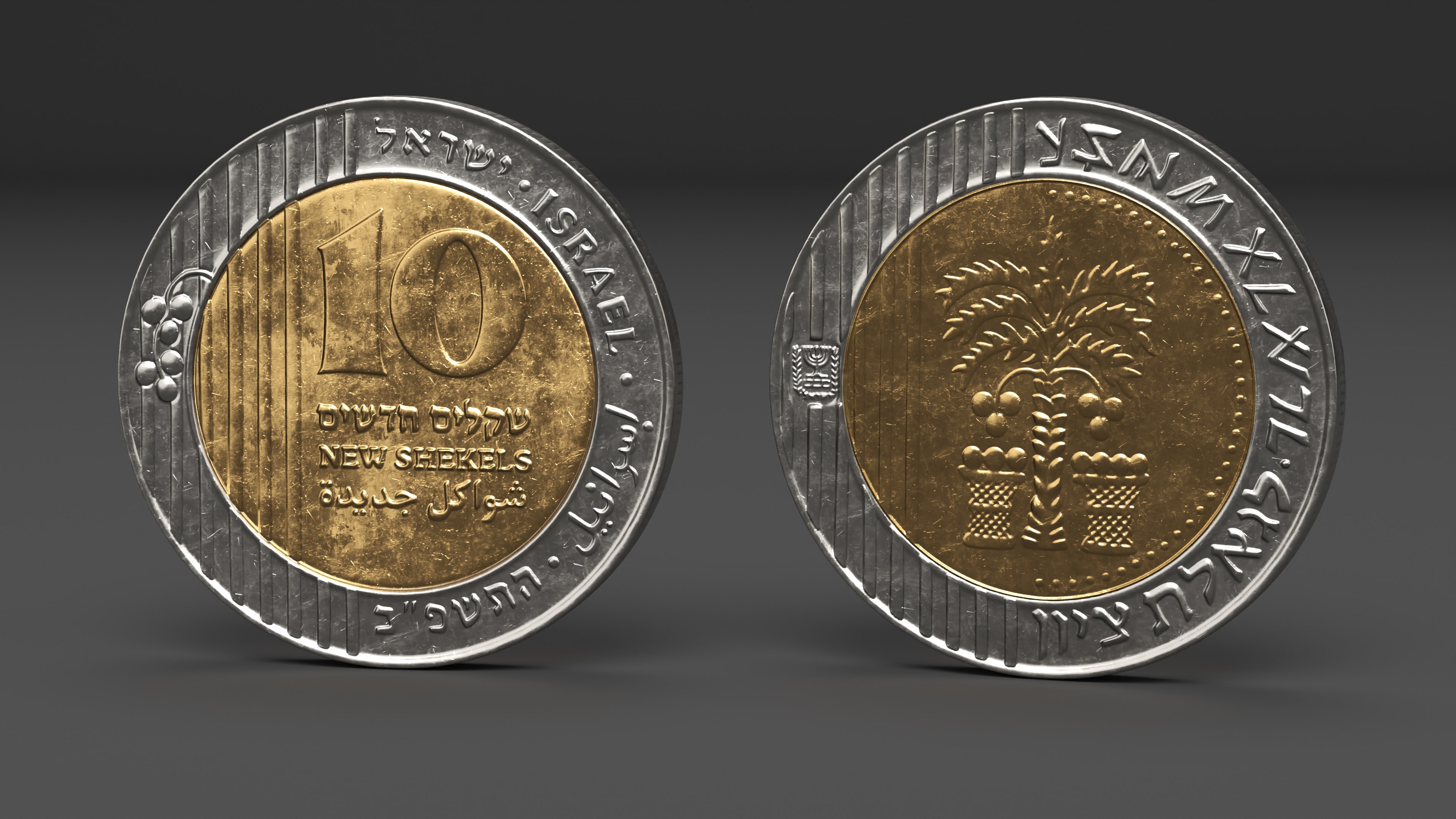 3D Israeli 10 New Shekel Coin