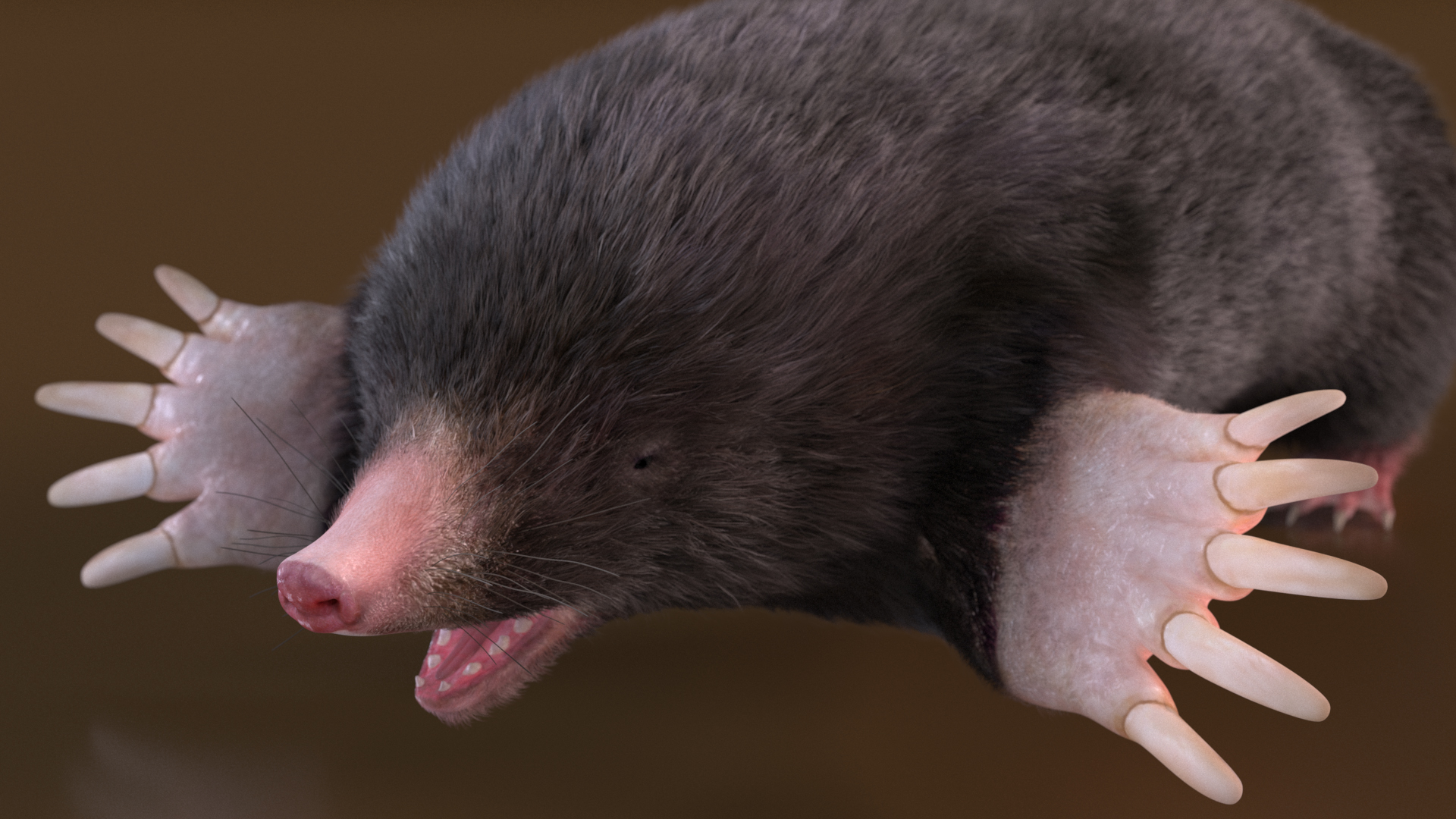 3D Talpa Europaea Fur model