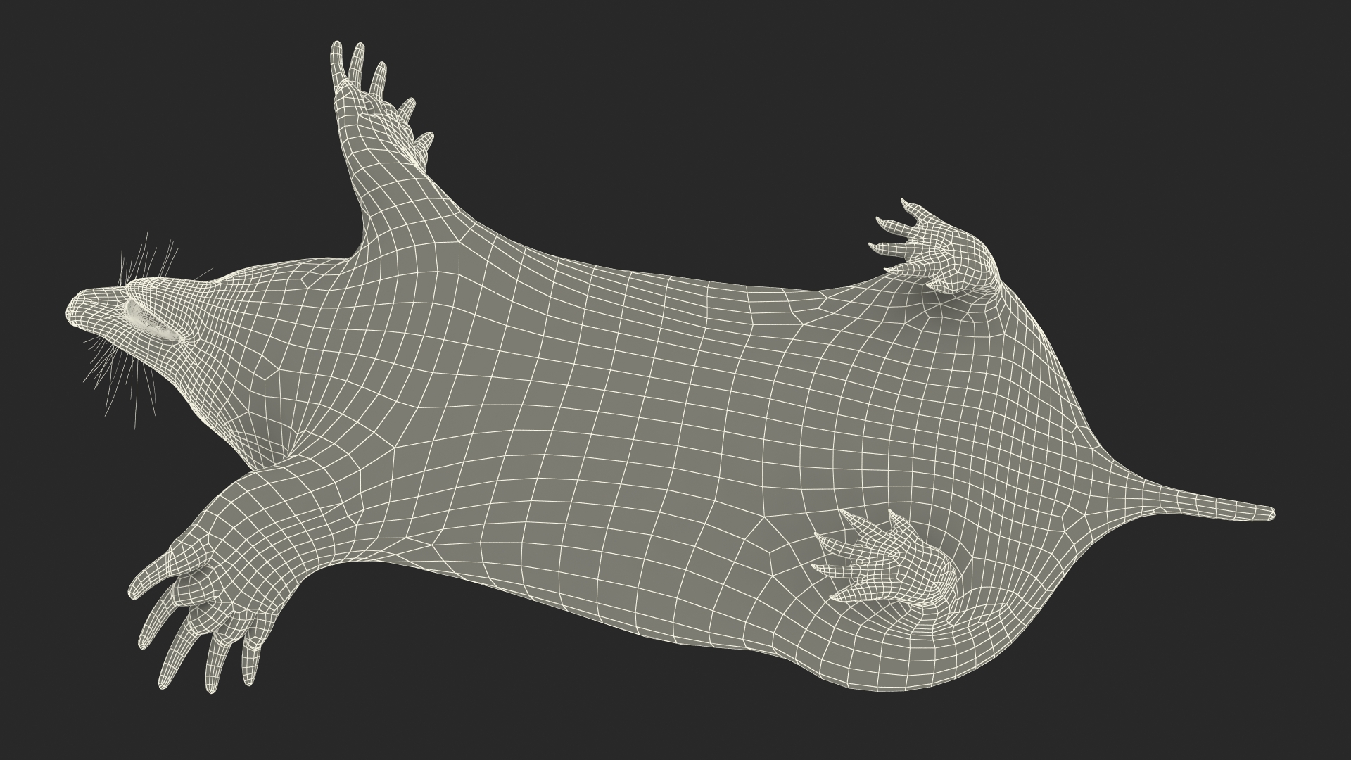 3D Talpa Europaea Fur model