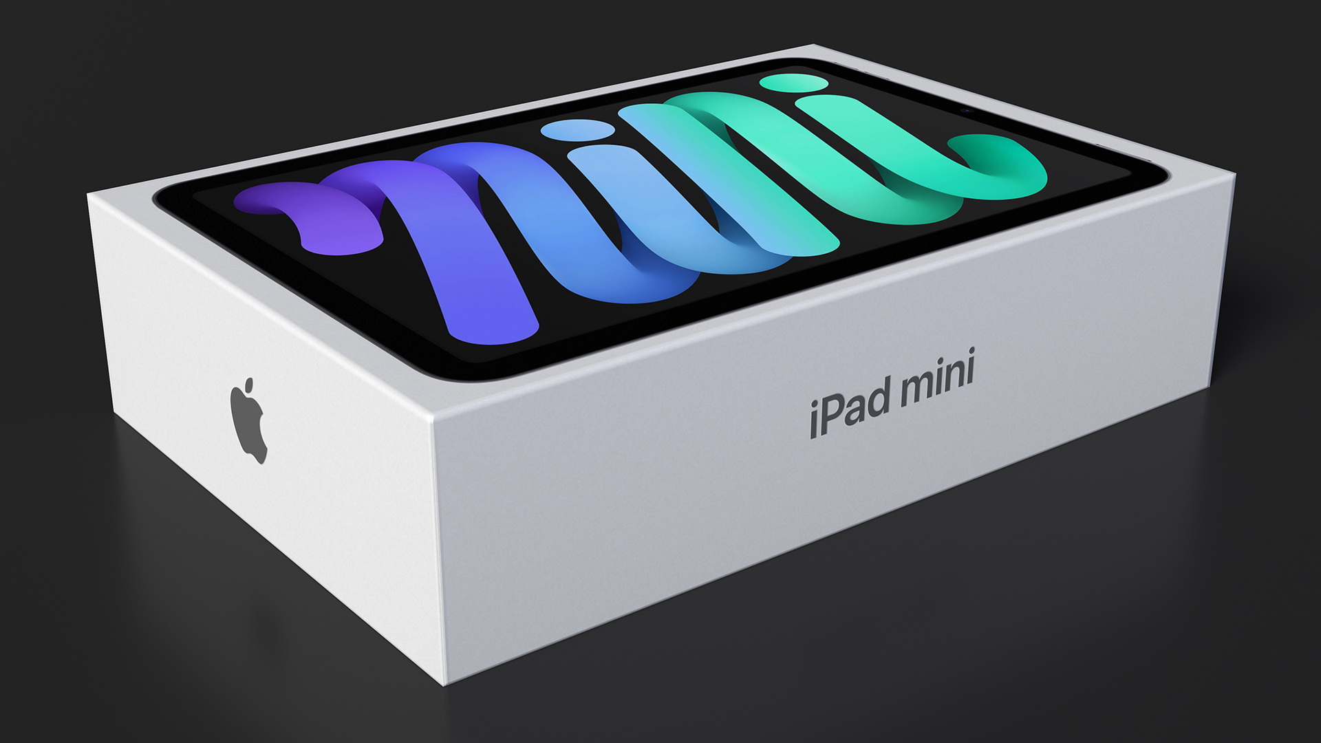 3D Box iPad Mini model