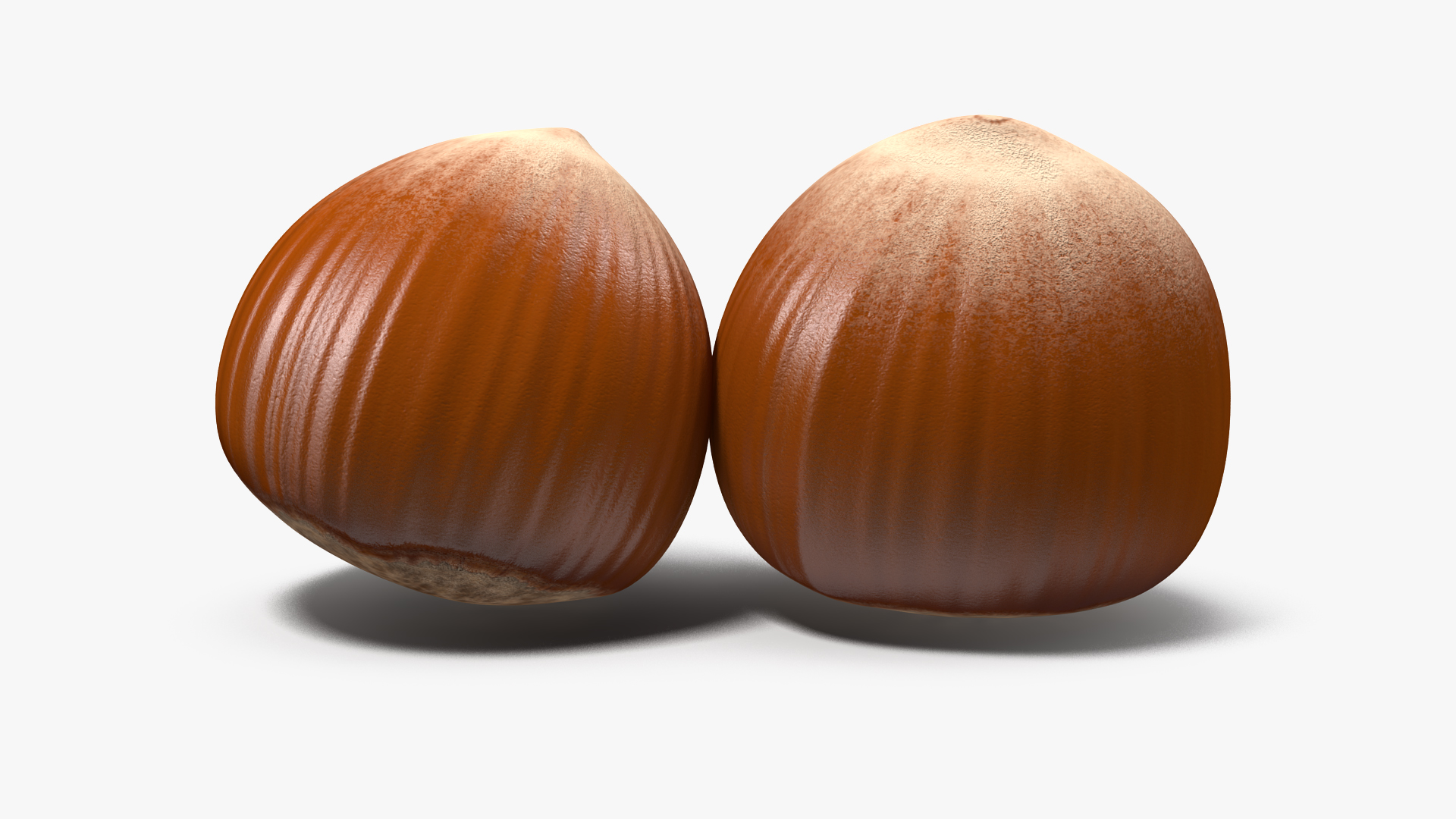 Whole Hazelnut 3D model