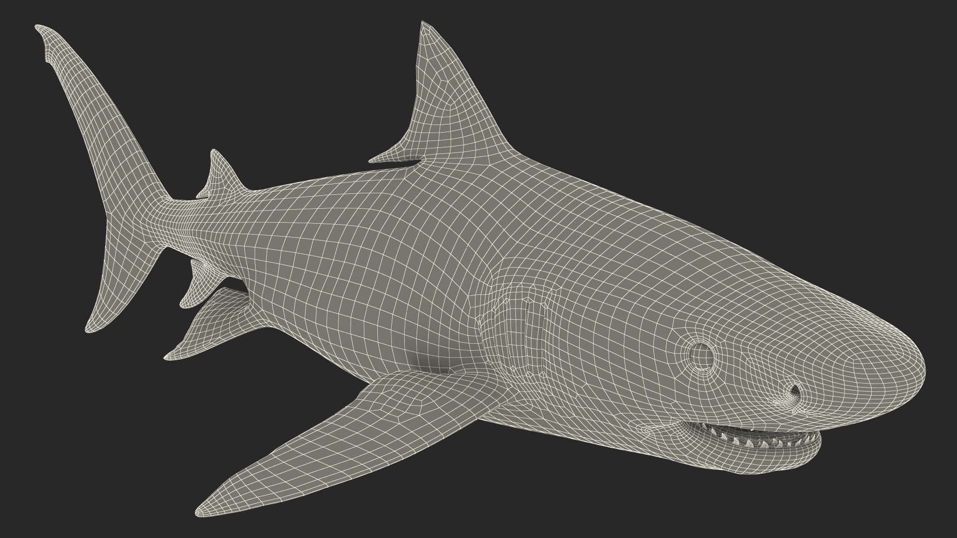 3D Tiger Shark