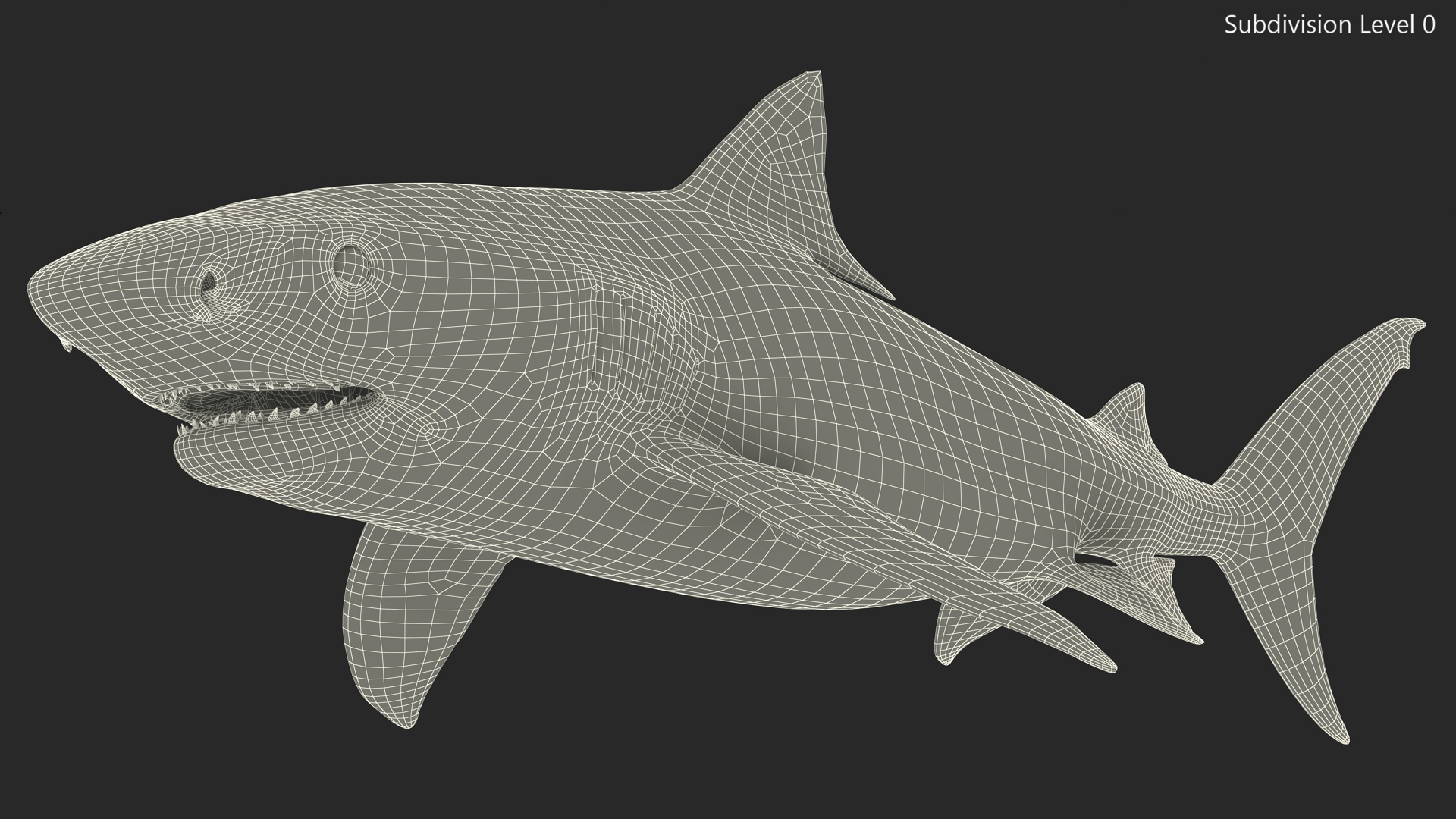 3D Tiger Shark