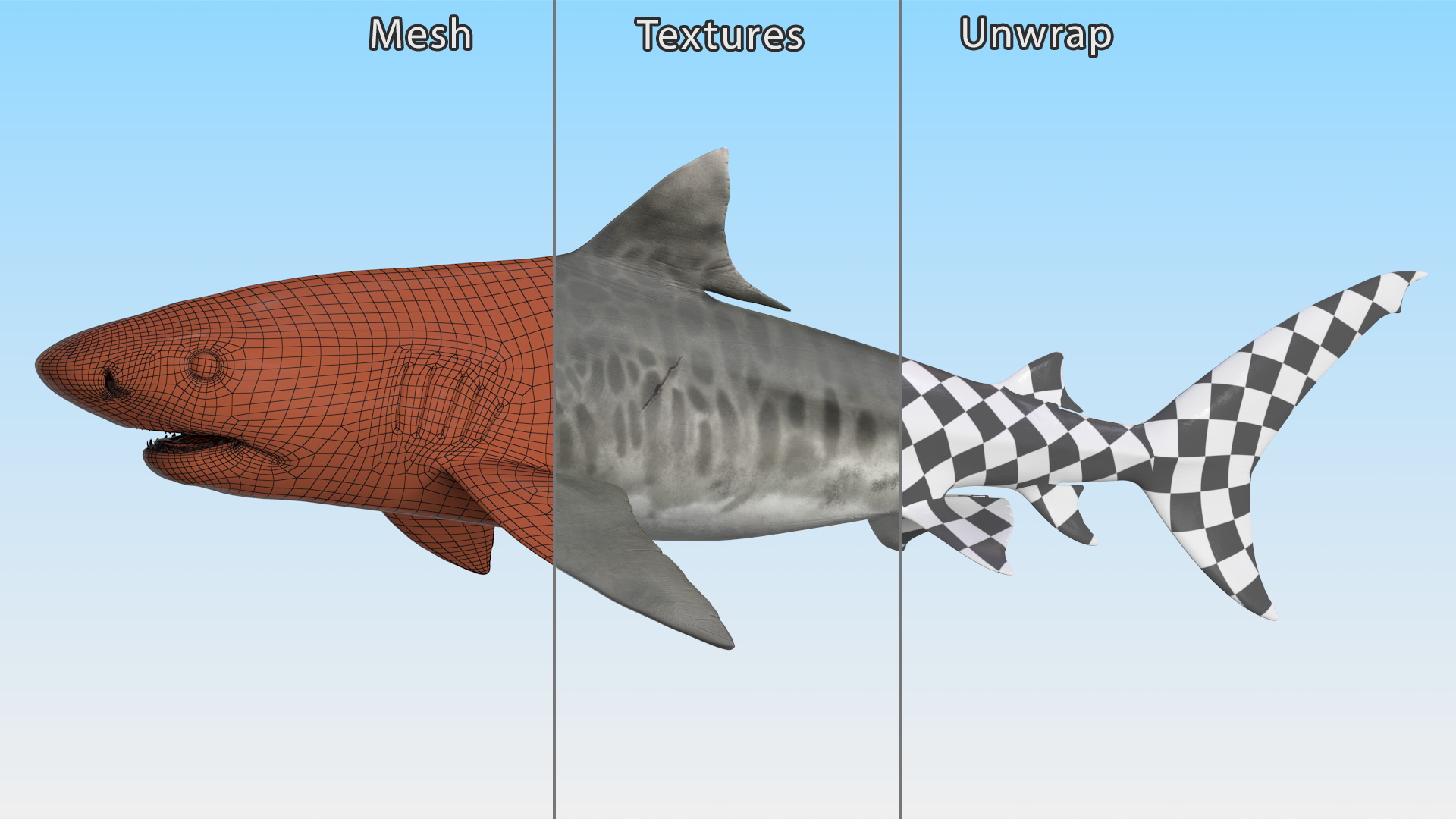 3D Tiger Shark