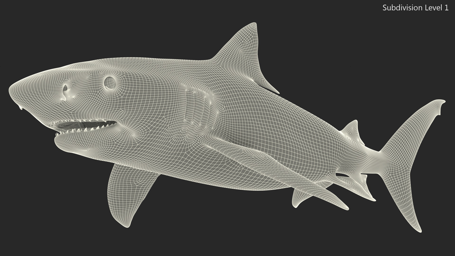 3D Tiger Shark