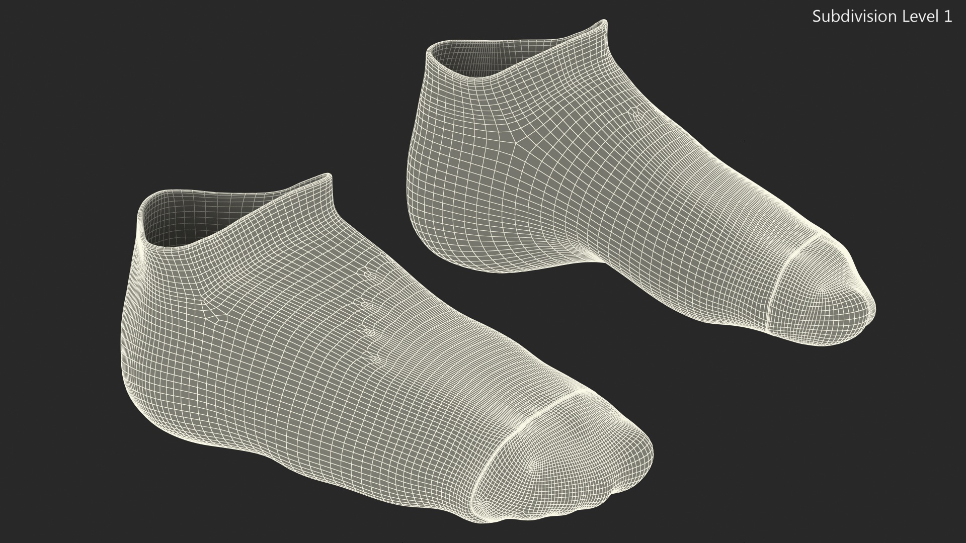 3D Socks Nike Grey on The Foot Standing