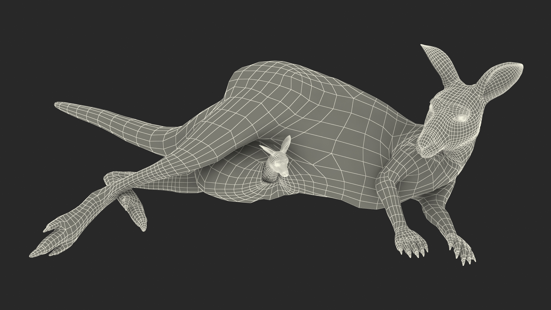 3D model Mother Kangaroo with Baby Lying Fur