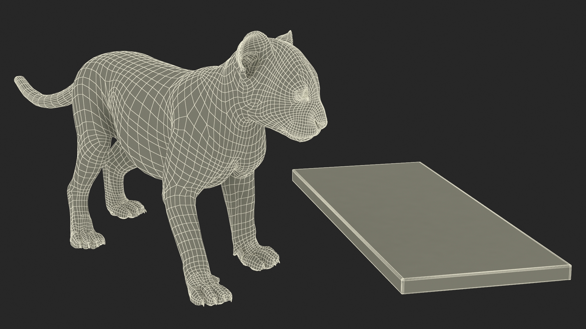 Silver Bronze Lion Cub Sculpture 3D