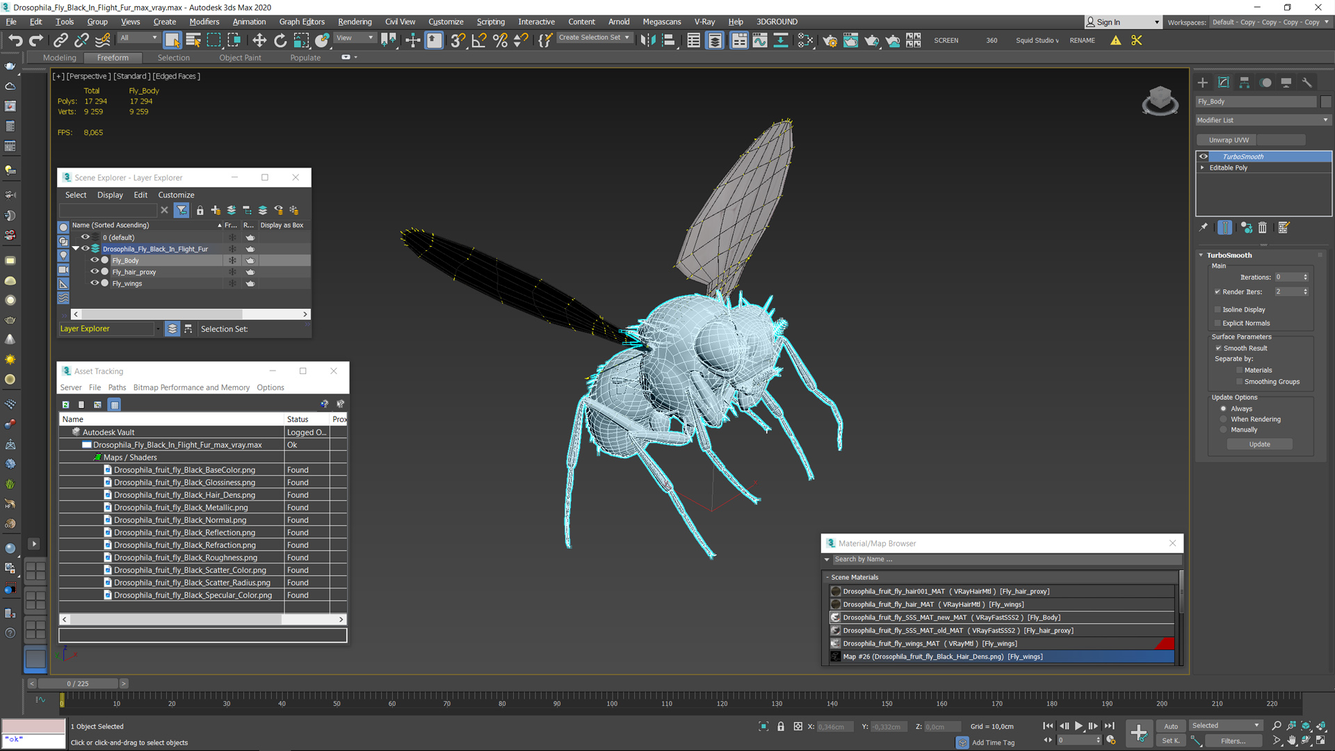 Drosophila Fly Black In Flight Fur 3D model