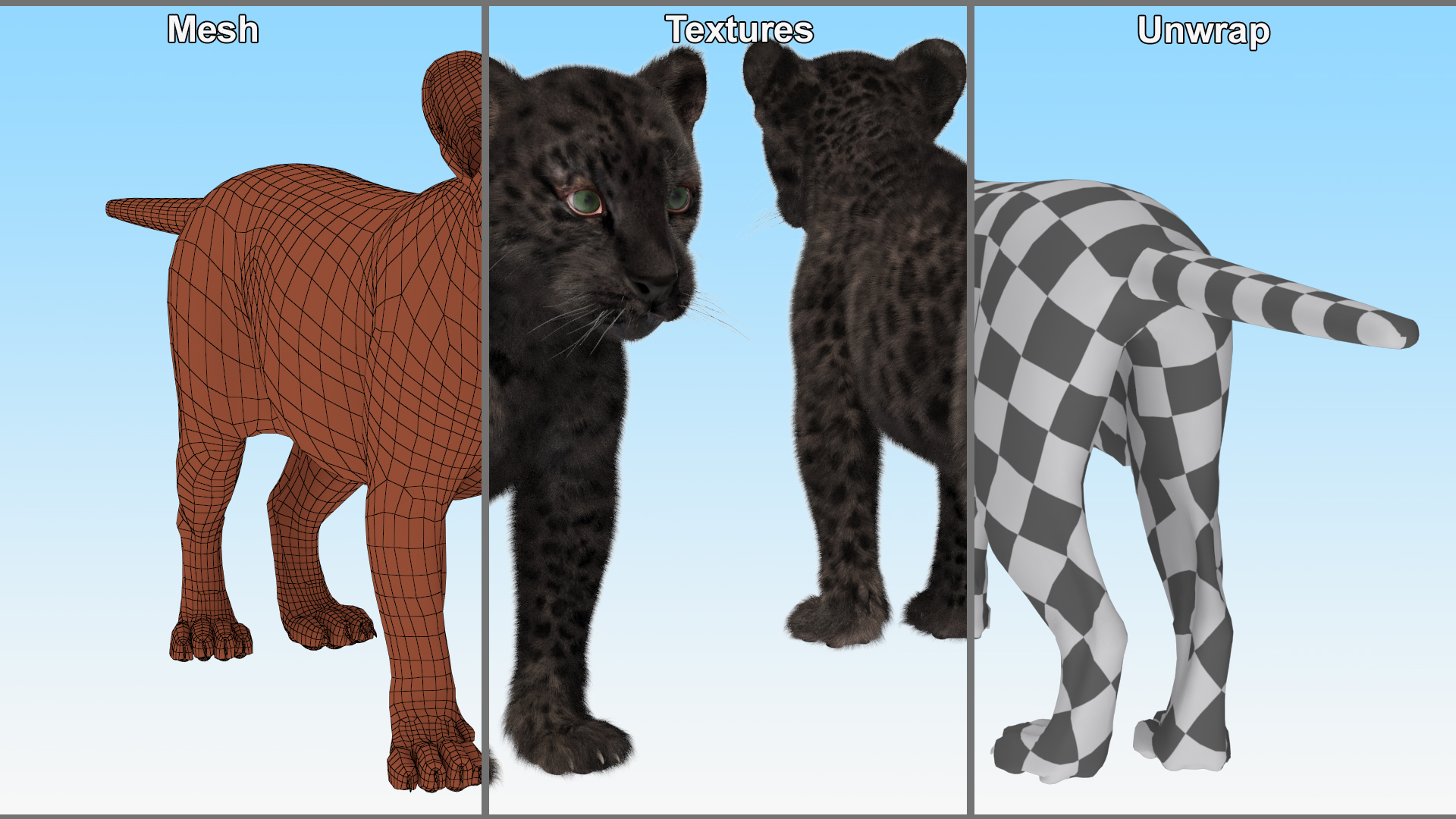 3D model Black Leopard Cub Standing Pose with Fur