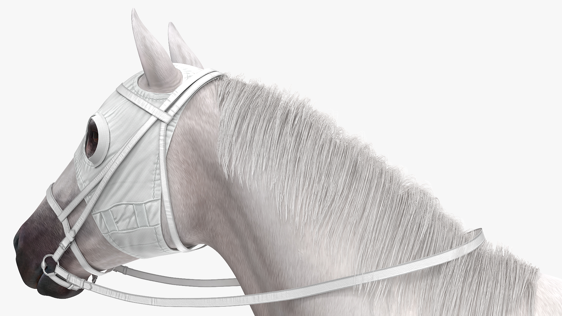 3D White Racehorse Fur Rigged