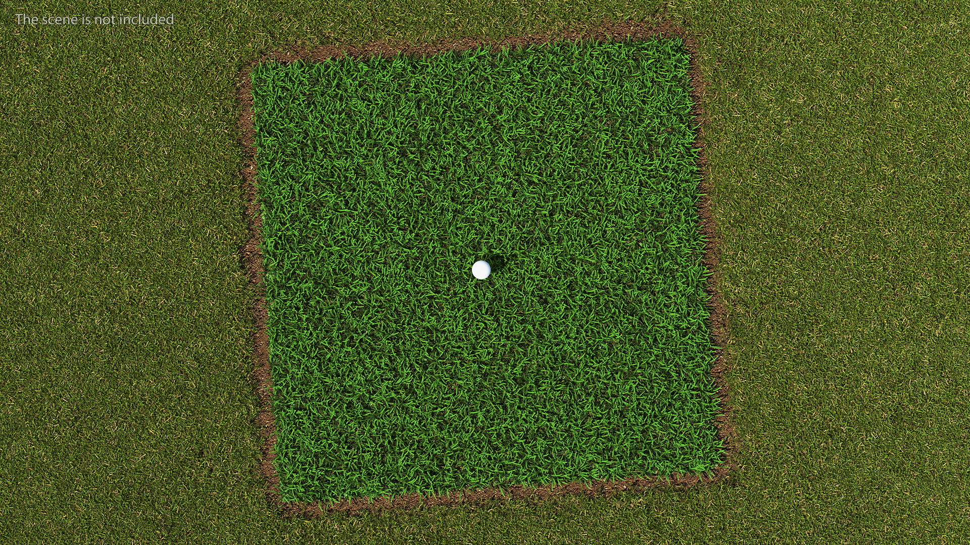 Golf Ball on Lawn 3D