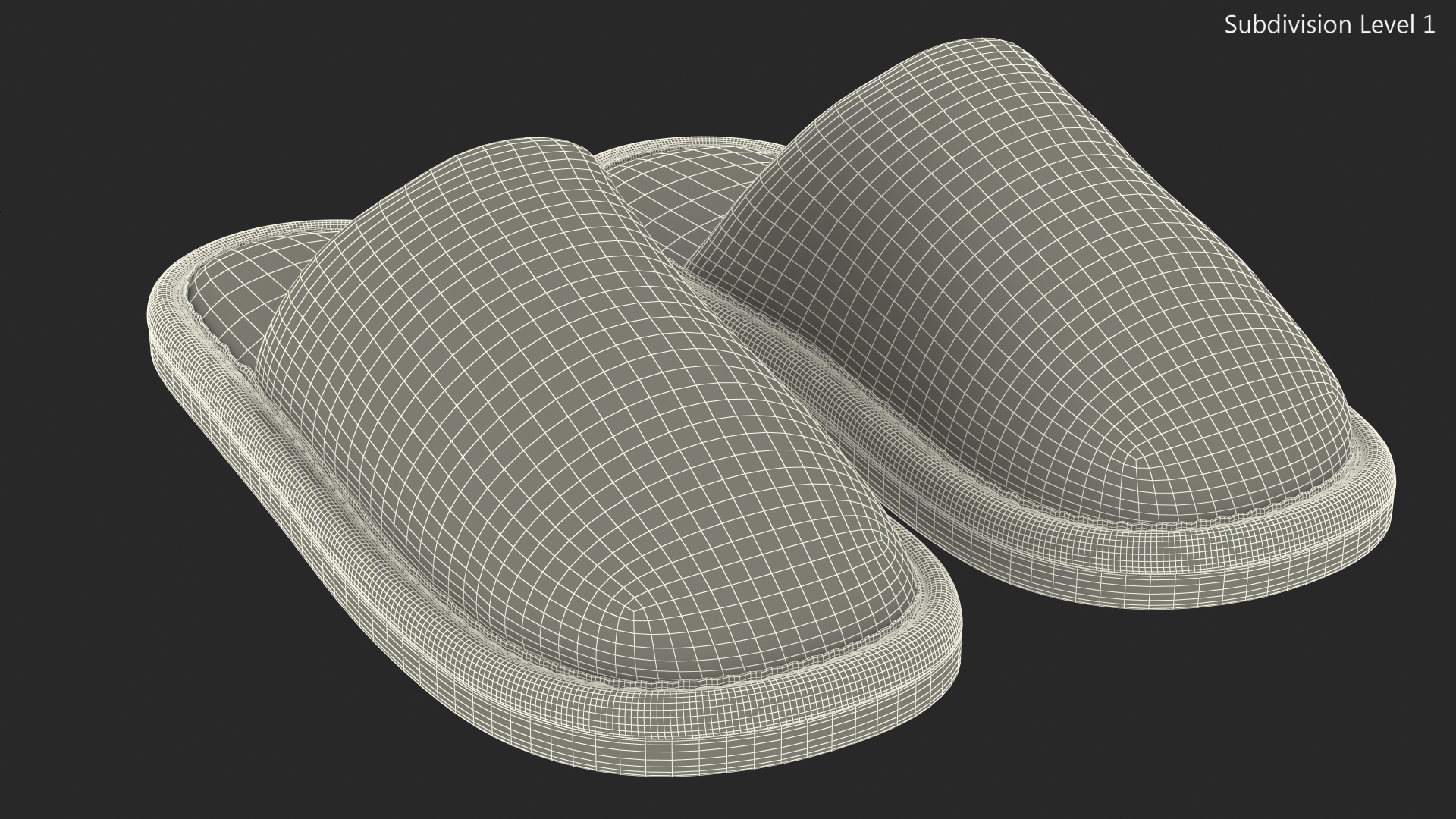 House Slippers Generic 3D