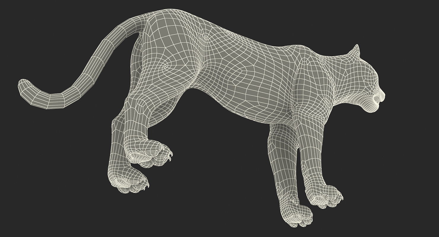 3D Snow Leopard with Fur