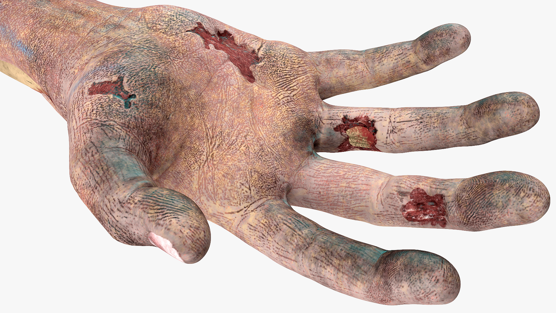 3D model Bloody Zombie Arms Rigged