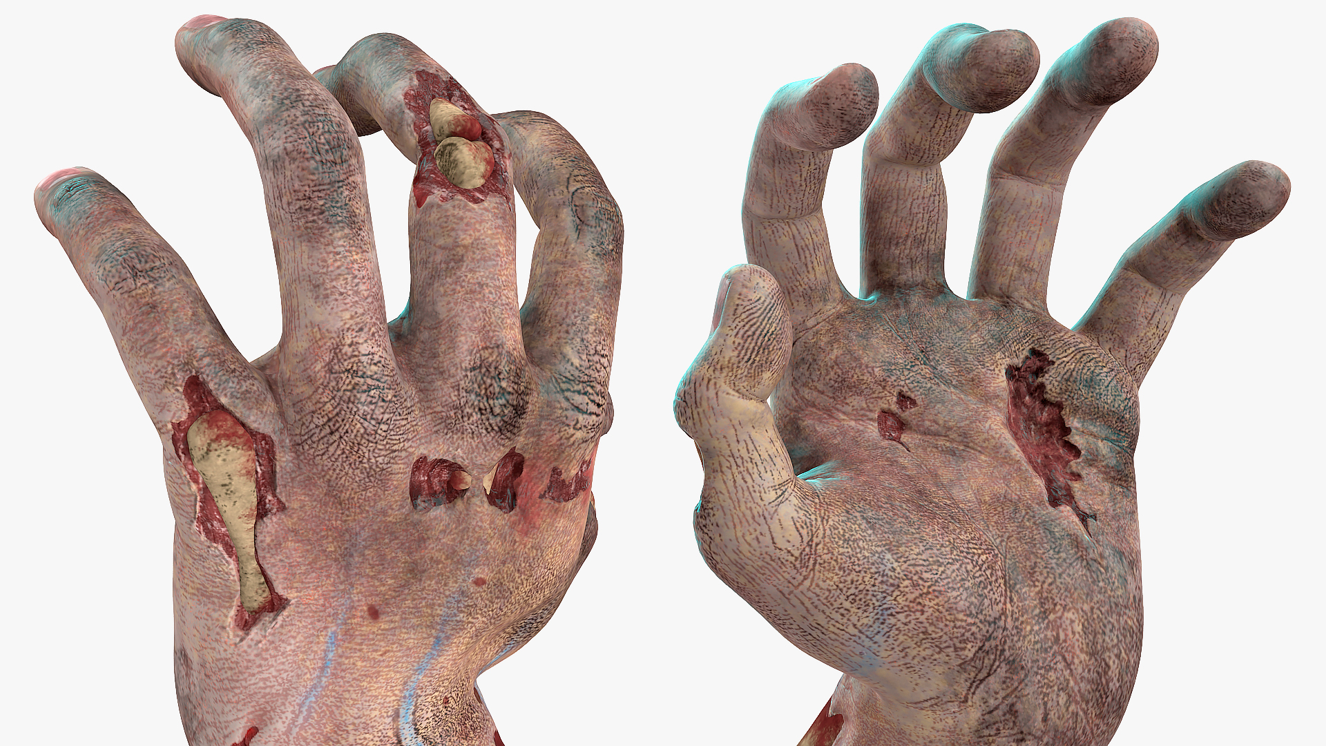 3D model Bloody Zombie Arms Rigged