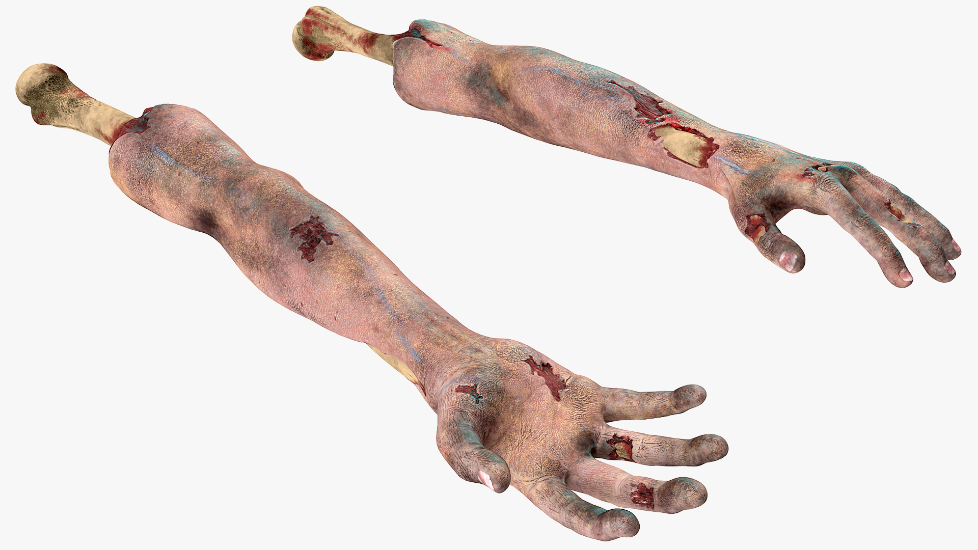 3D model Bloody Zombie Arms Rigged