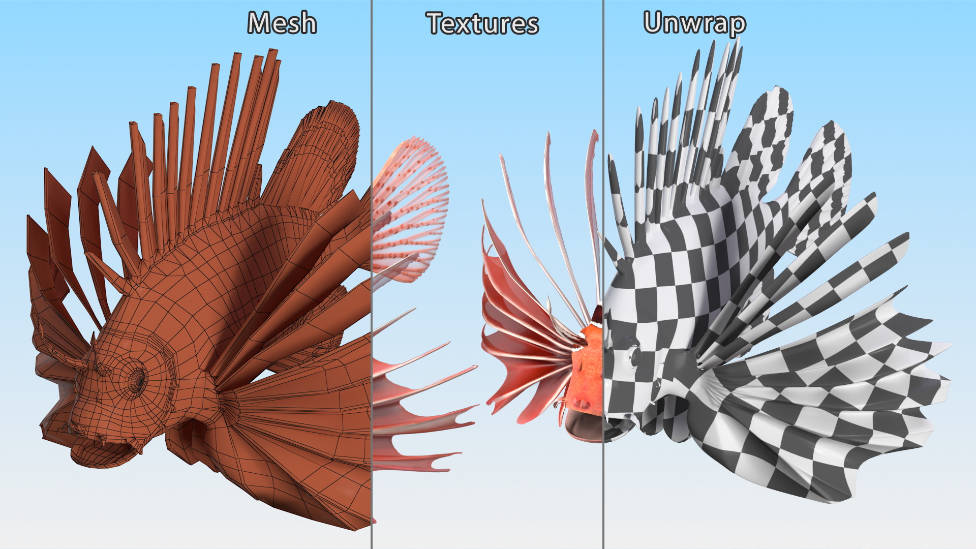 3D Clearfin Lionfish Rigged for Modo model