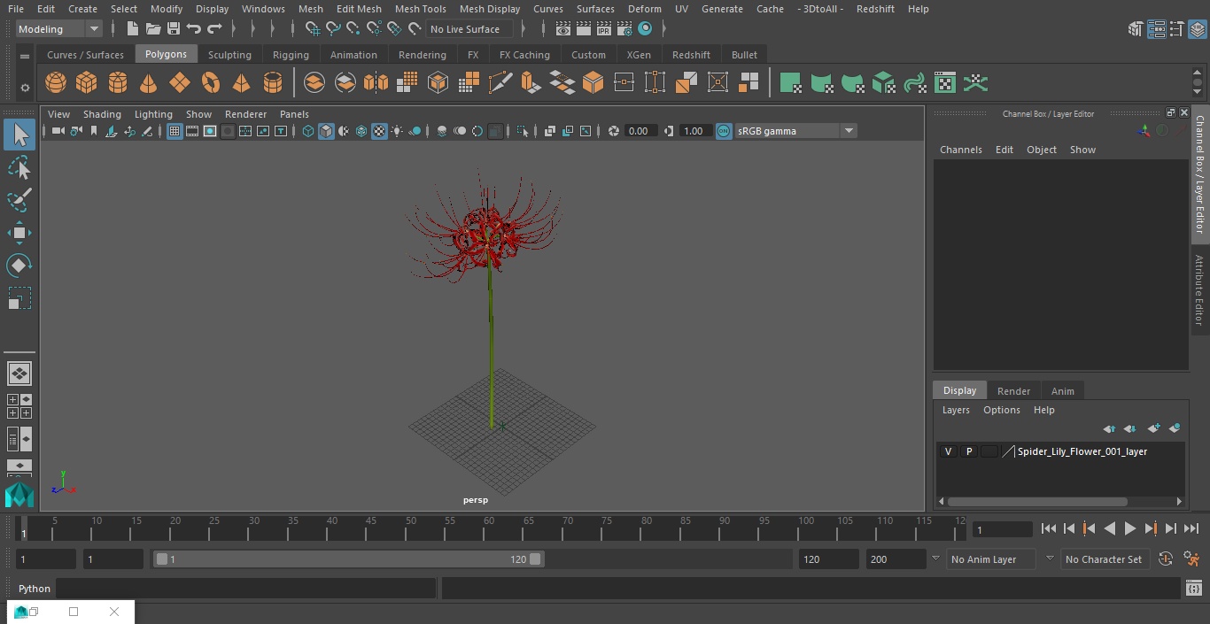 3D Spider Lily Flower model