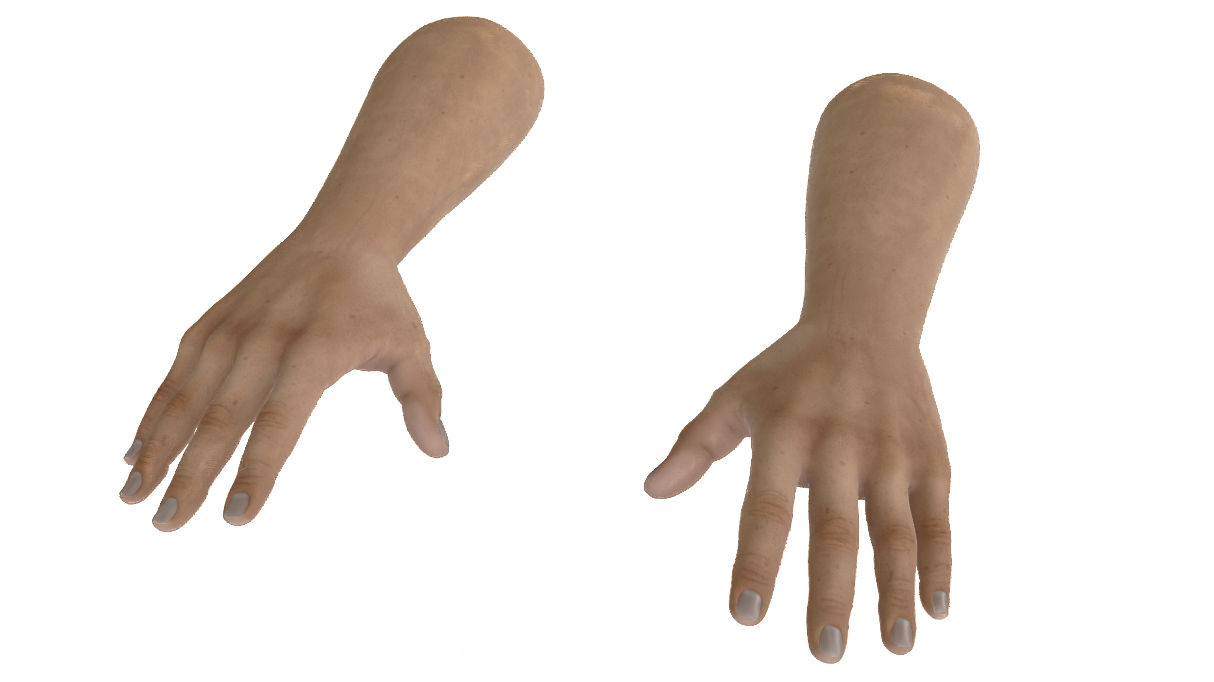 3D model White Man Hands Base Pose