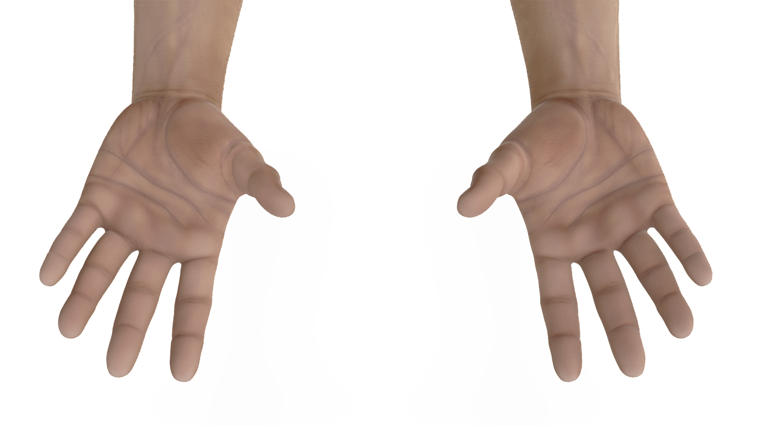 3D model White Man Hands Base Pose