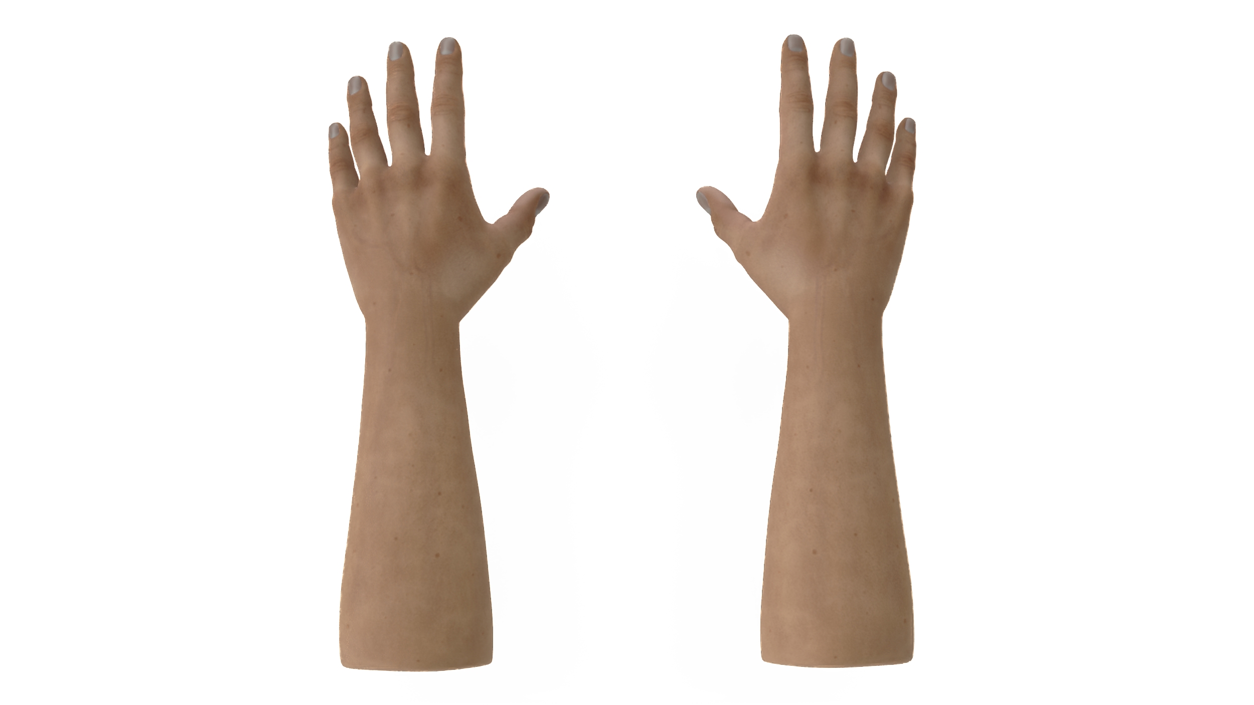 3D model White Man Hands Base Pose