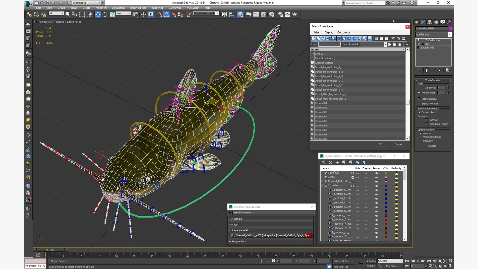 Channel Catfish Ictalurus Punctatus Rigged 3D