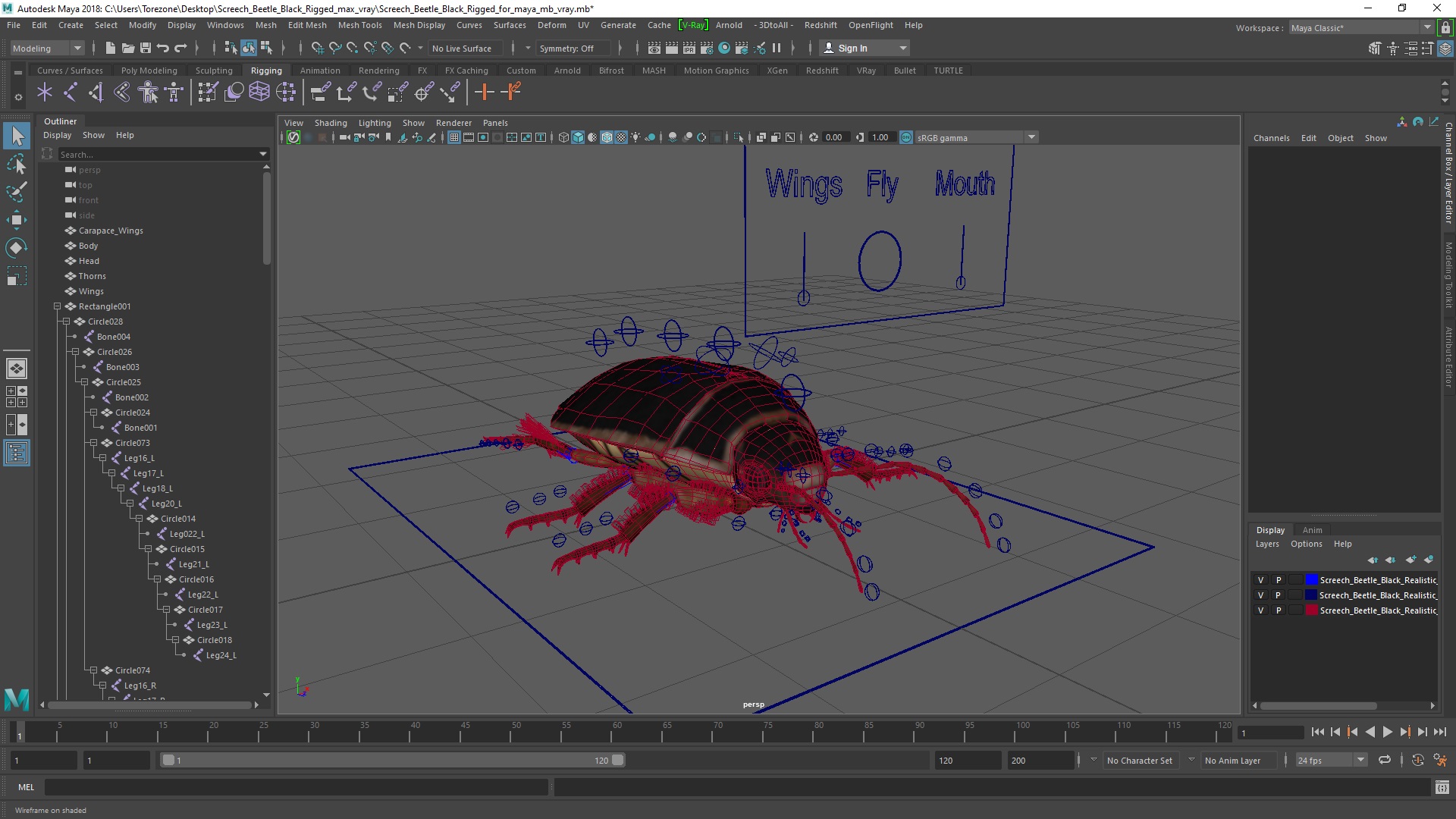 3D Screech Beetle Black Rigged for Maya