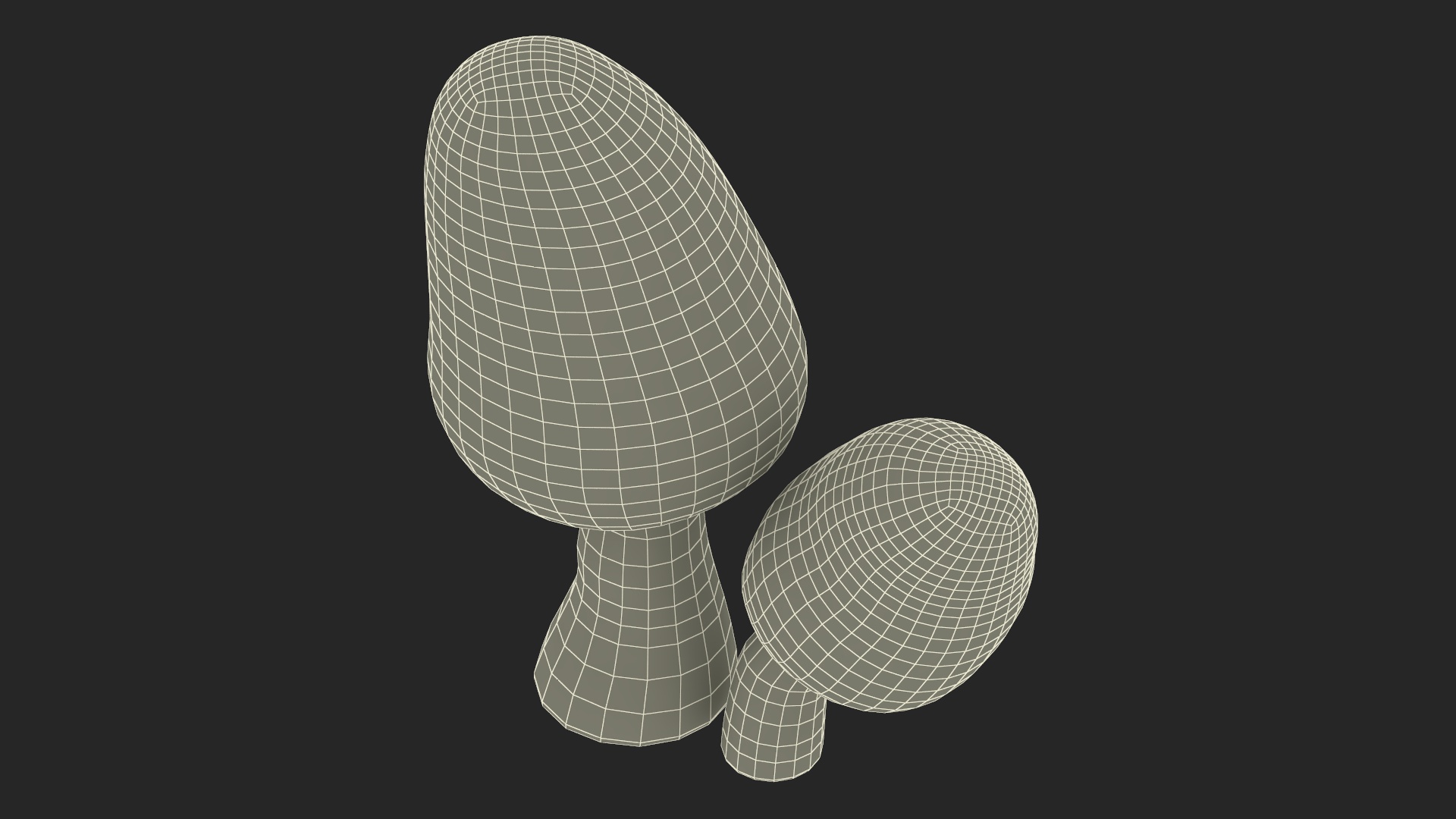 Morel 3D model