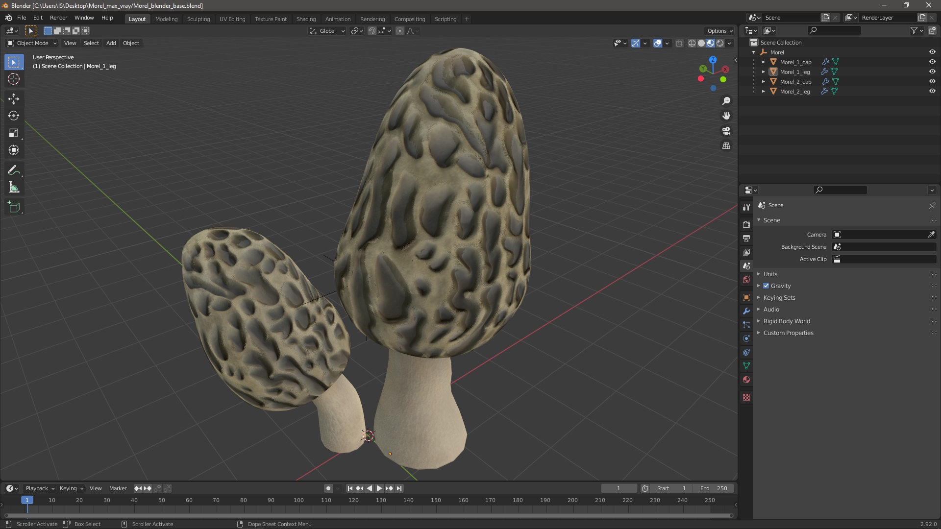 Morel 3D model