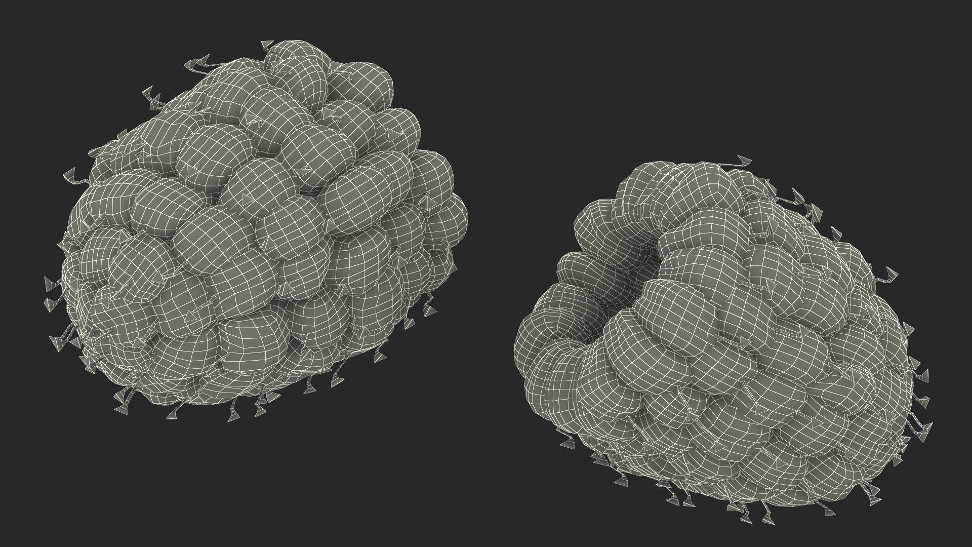 3D Bowl of Various Berries model