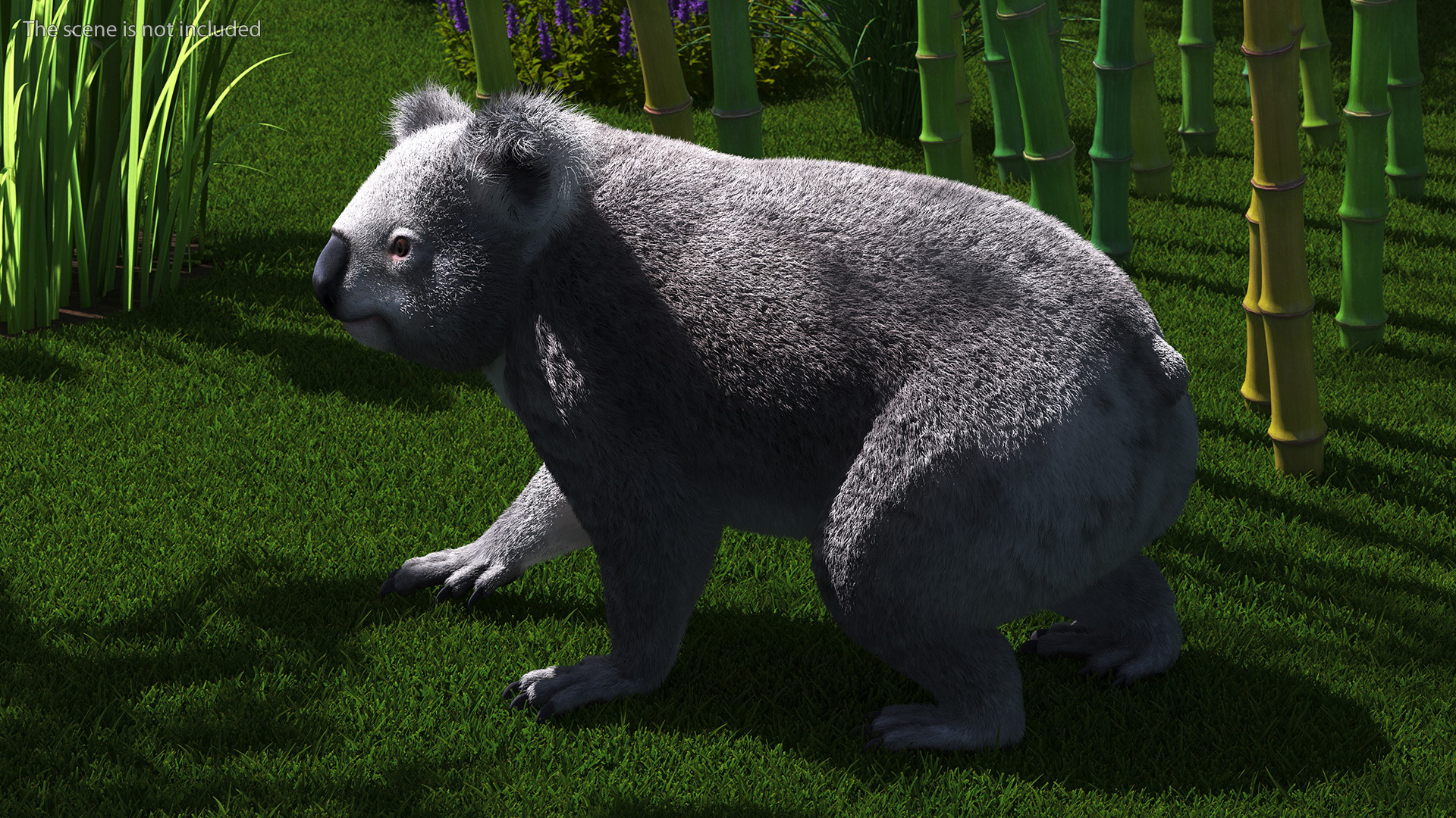 3D Koala Rigged Fur