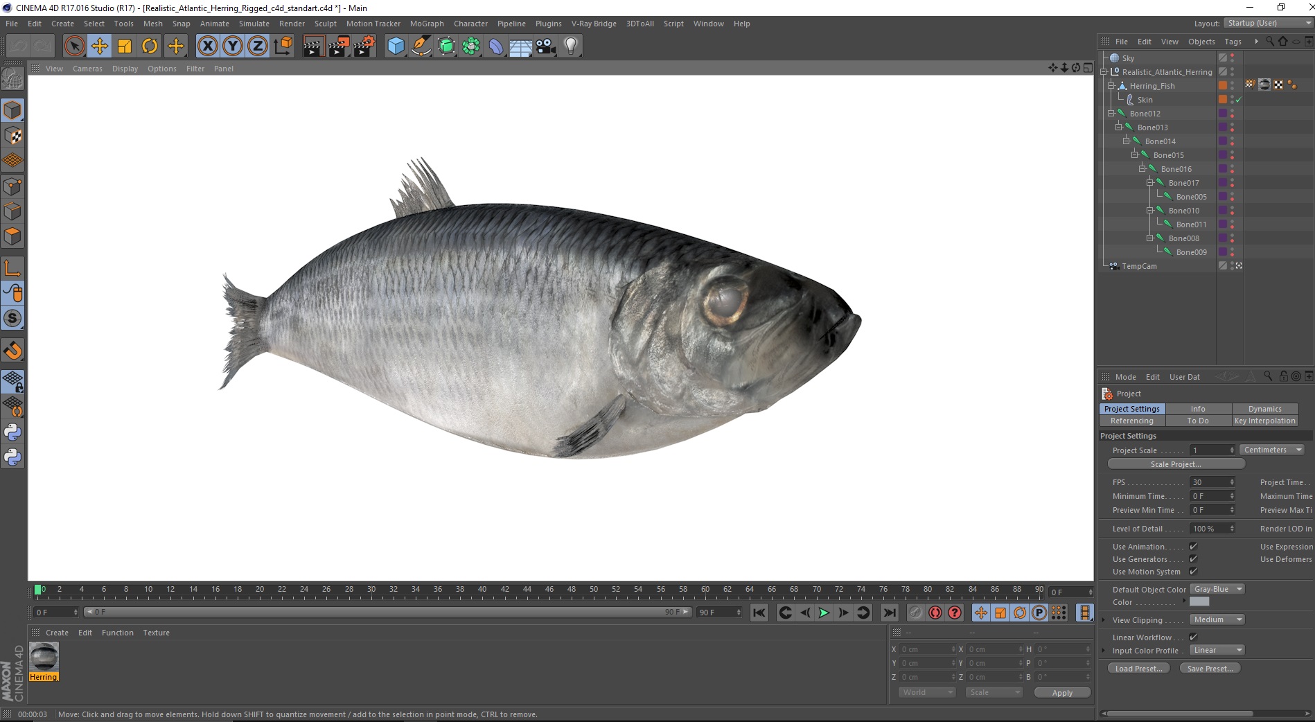 Realistic Atlantic Herring Rigged for Cinema 4D 3D