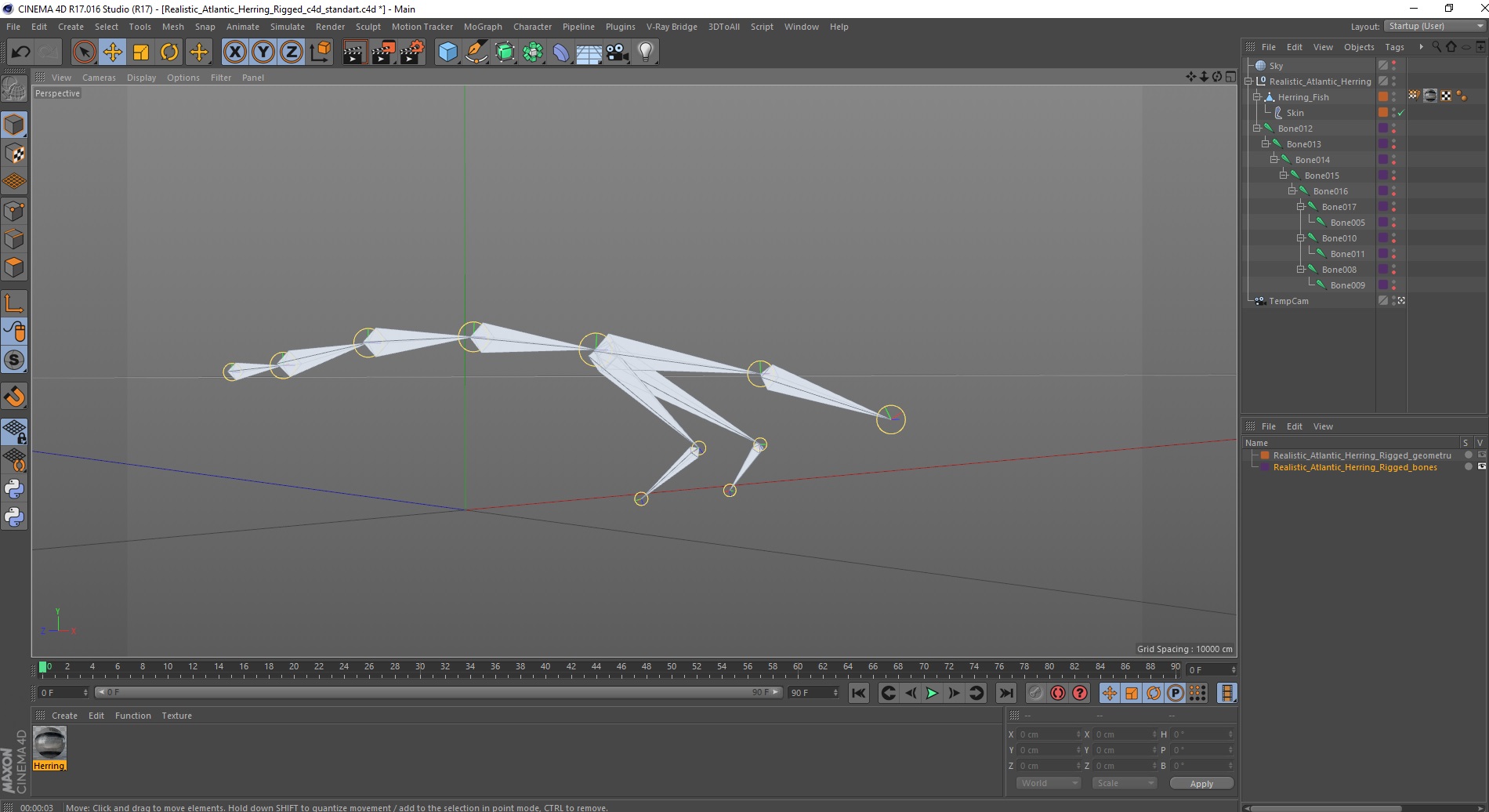 Realistic Atlantic Herring Rigged for Cinema 4D 3D