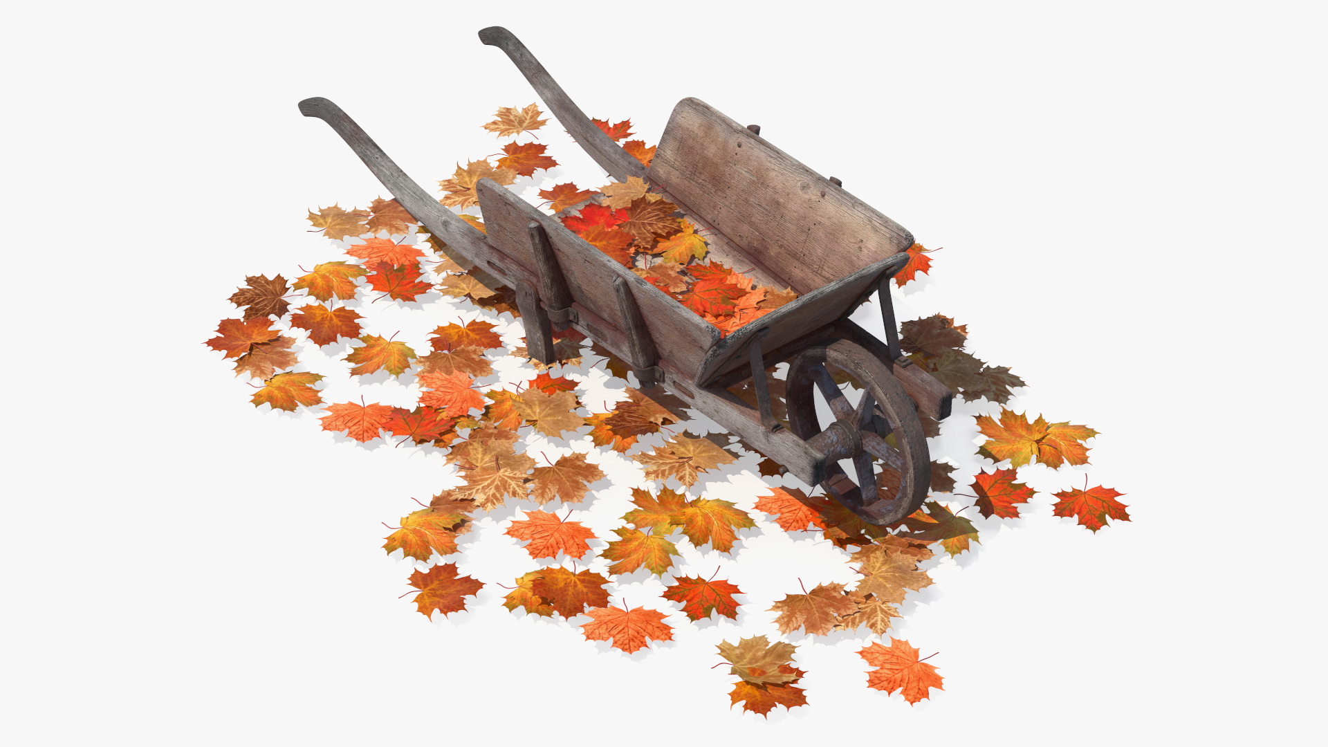 3D Old Wheelbarrow and Leaves