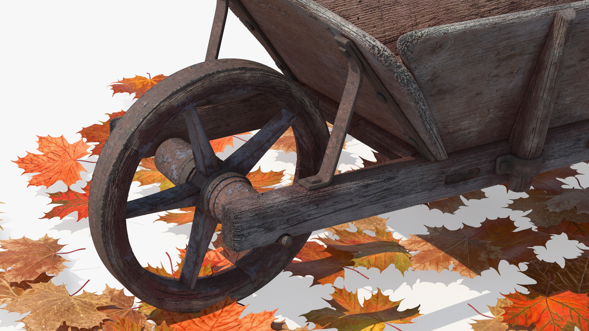 3D Old Wheelbarrow and Leaves