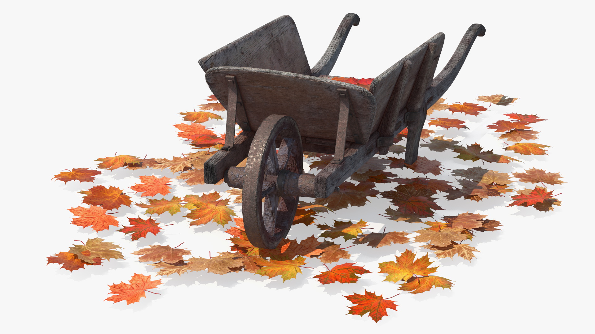 3D Old Wheelbarrow and Leaves