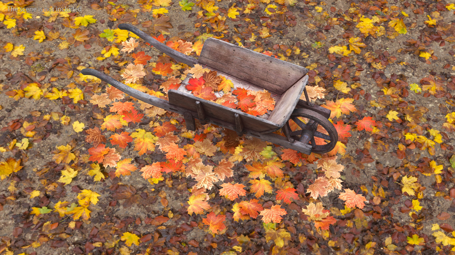 3D Old Wheelbarrow and Leaves