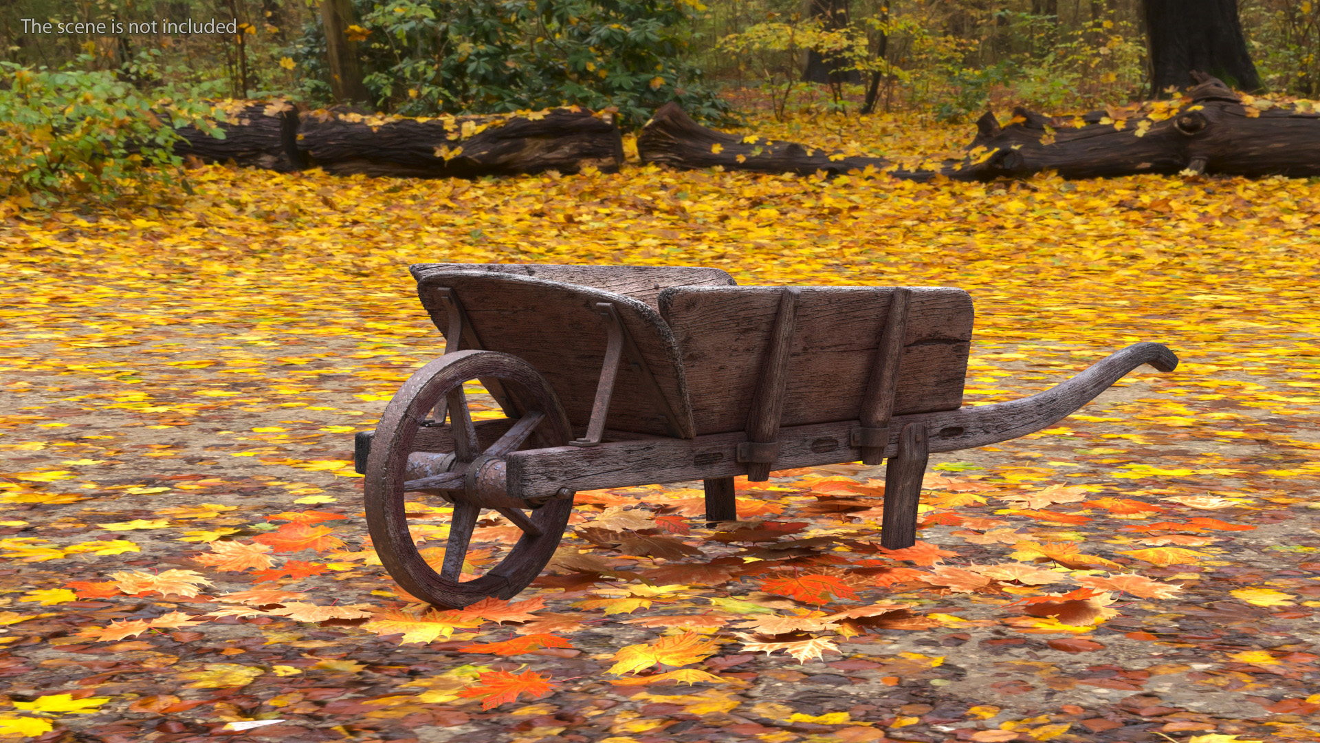 3D Old Wheelbarrow and Leaves