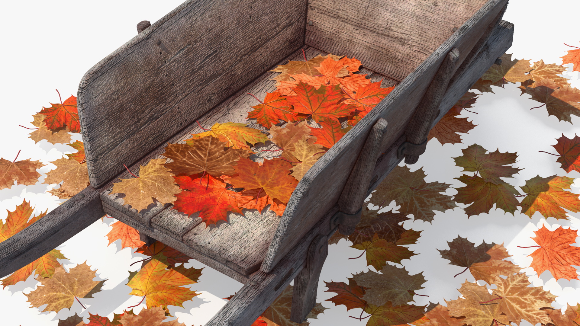 3D Old Wheelbarrow and Leaves