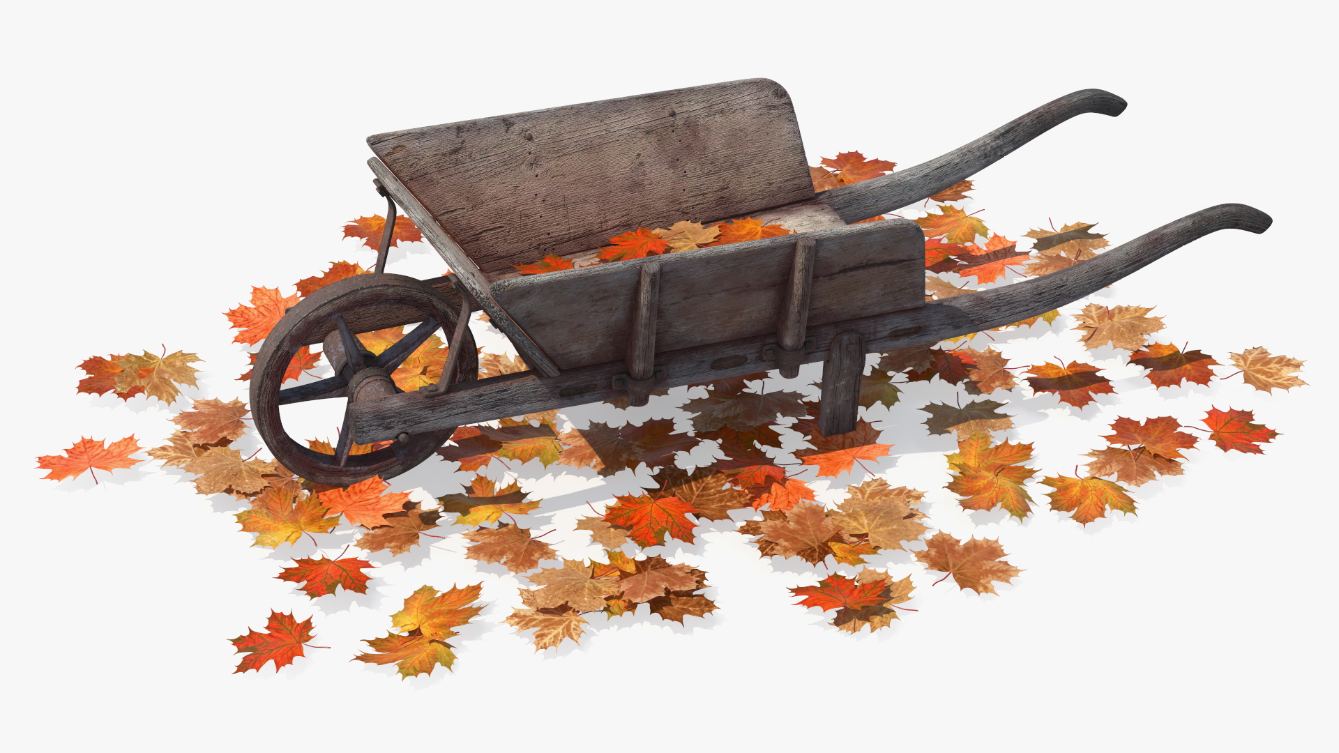 3D Old Wheelbarrow and Leaves