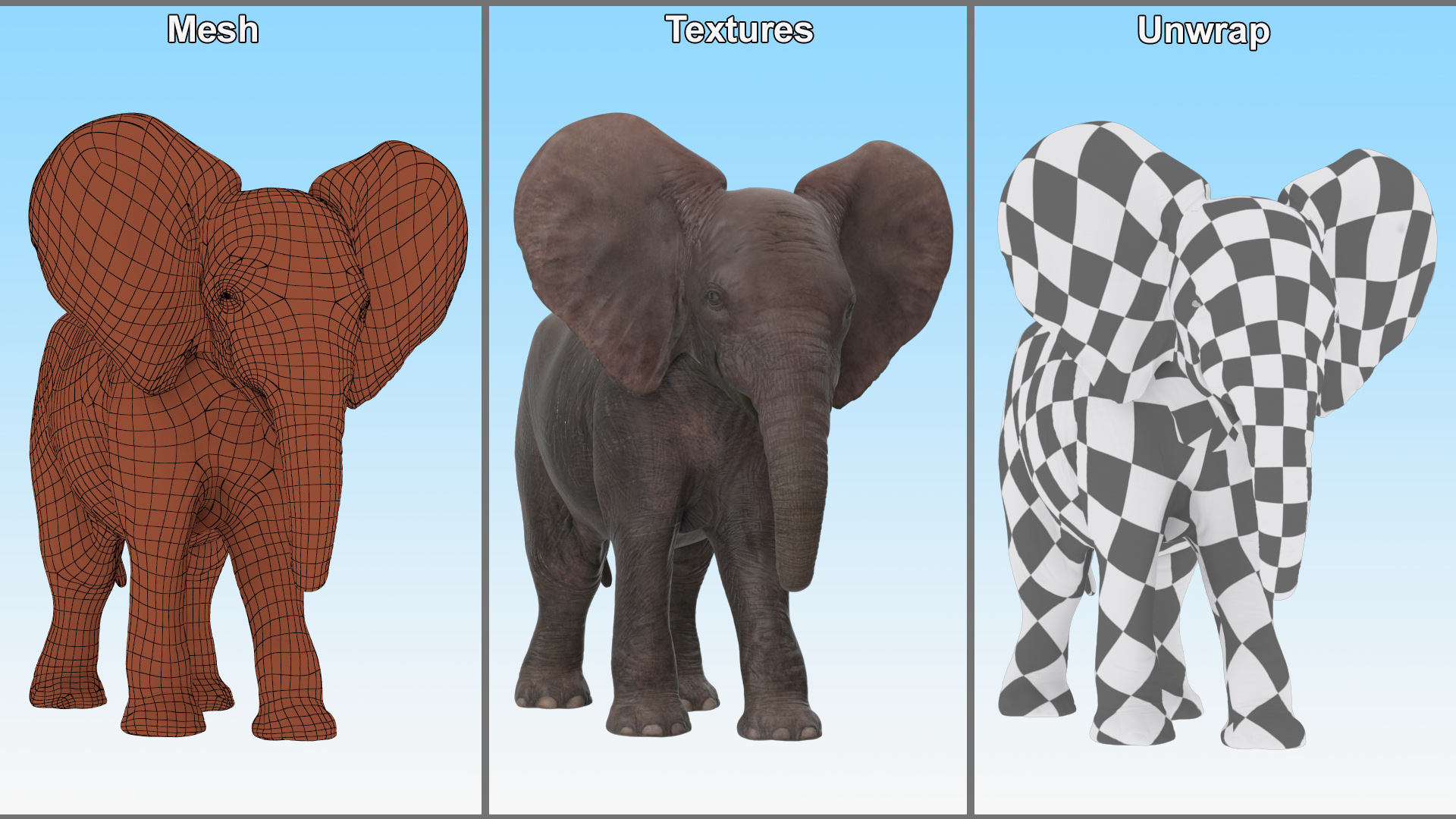 3D model Baby Elephant Rigged