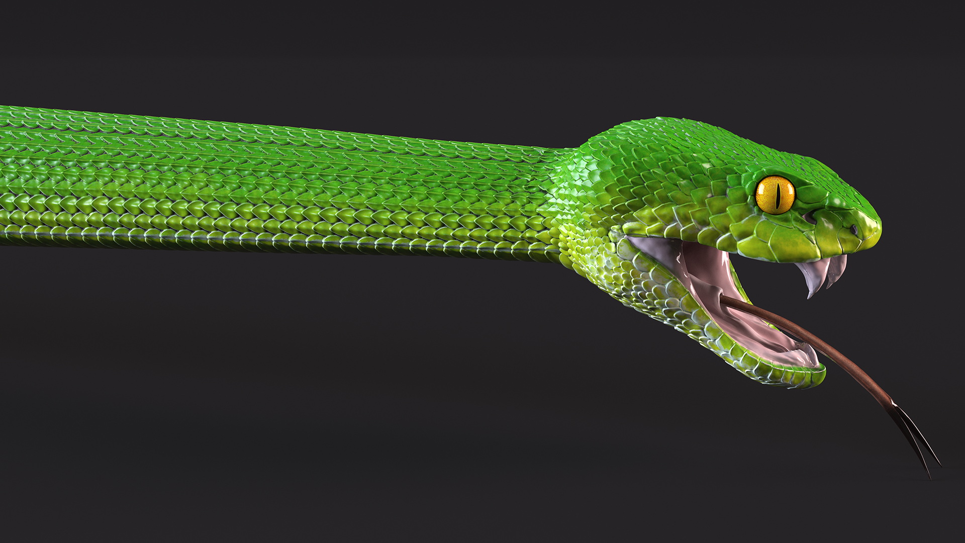 3D Viper Green Trimeresurus Rigged