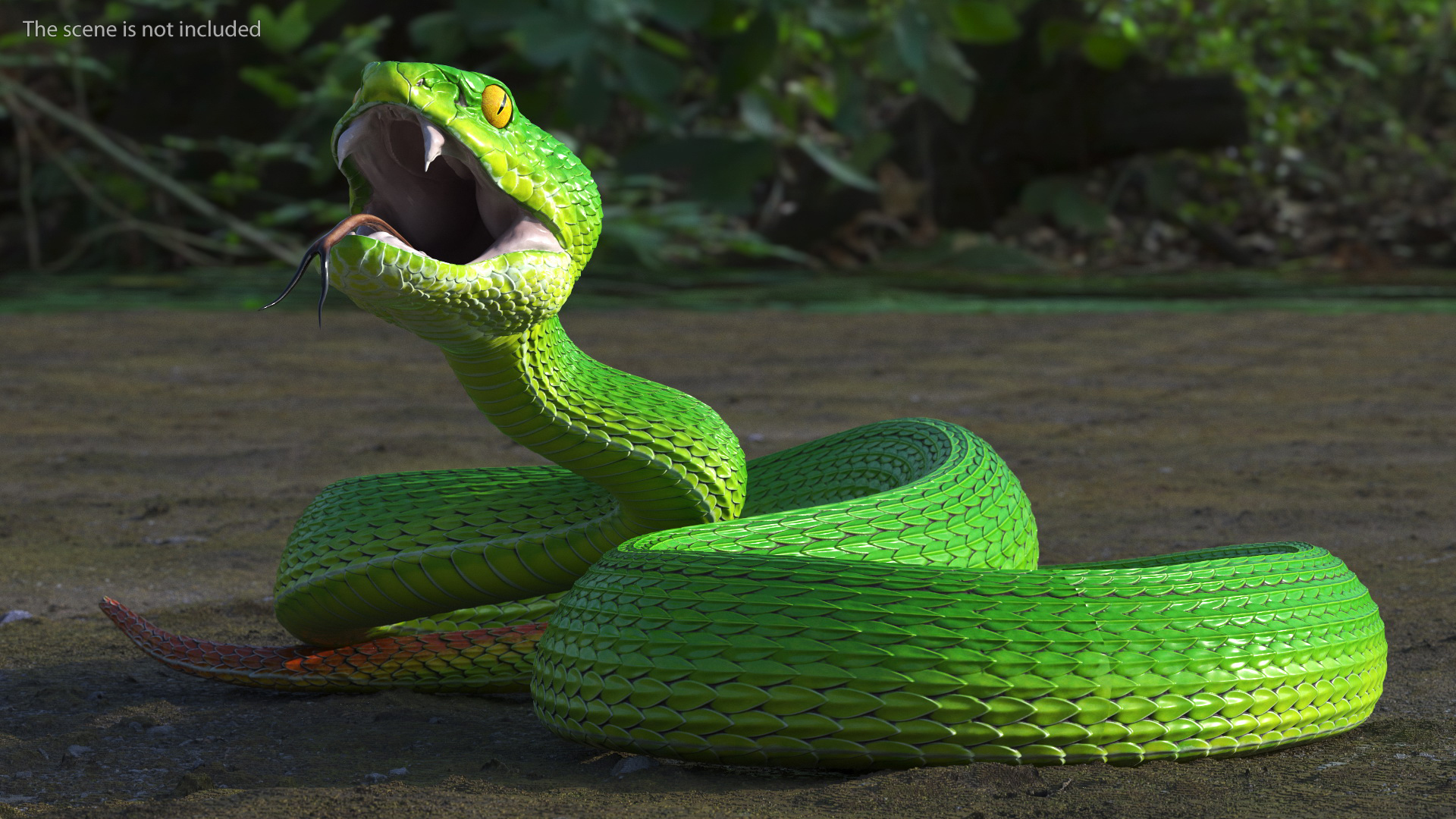 3D Viper Green Trimeresurus Rigged