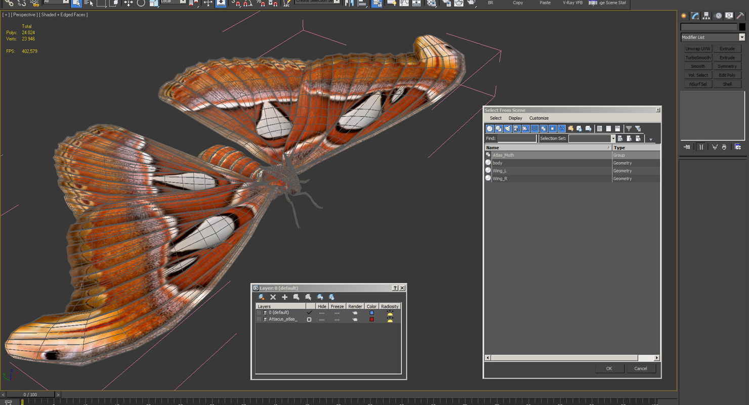 3D model Atlas Moth