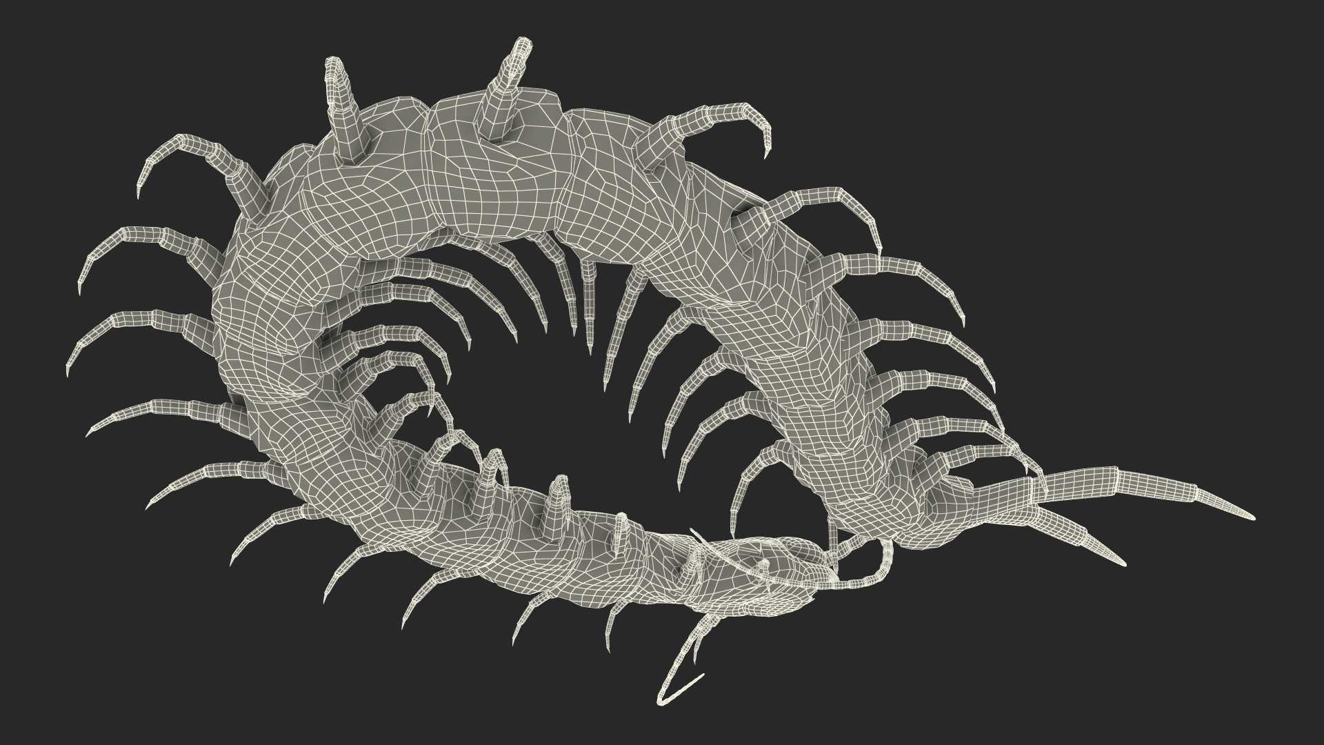 Red Scolopendra Subspinipes 3D