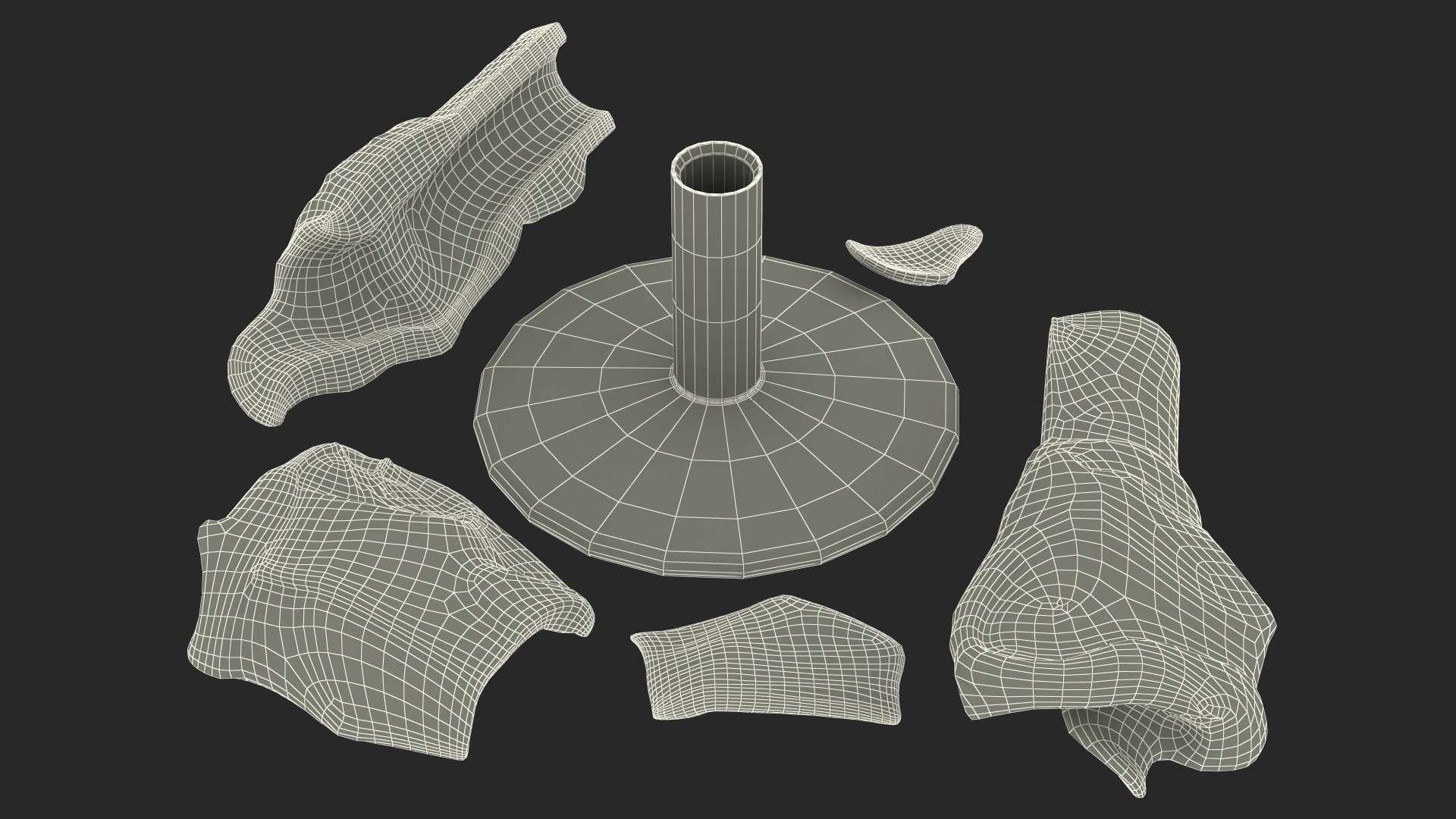 3D Disassembled Medical Model of Larynx