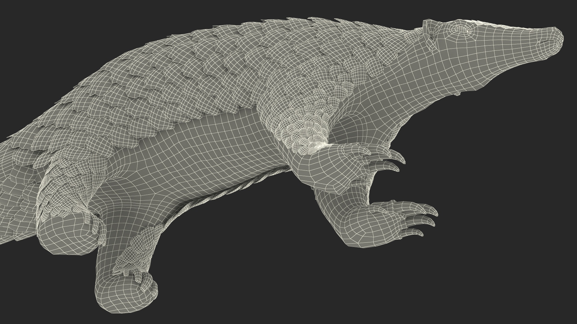 3D model Pangolin Rigged